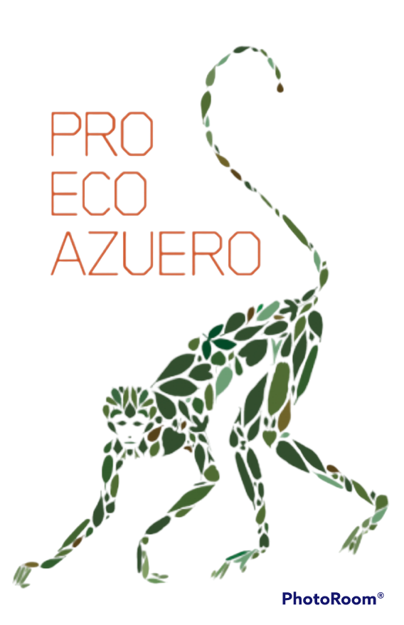 Screenshot 2023-02-12 at 10.13-PhotoRoom.png