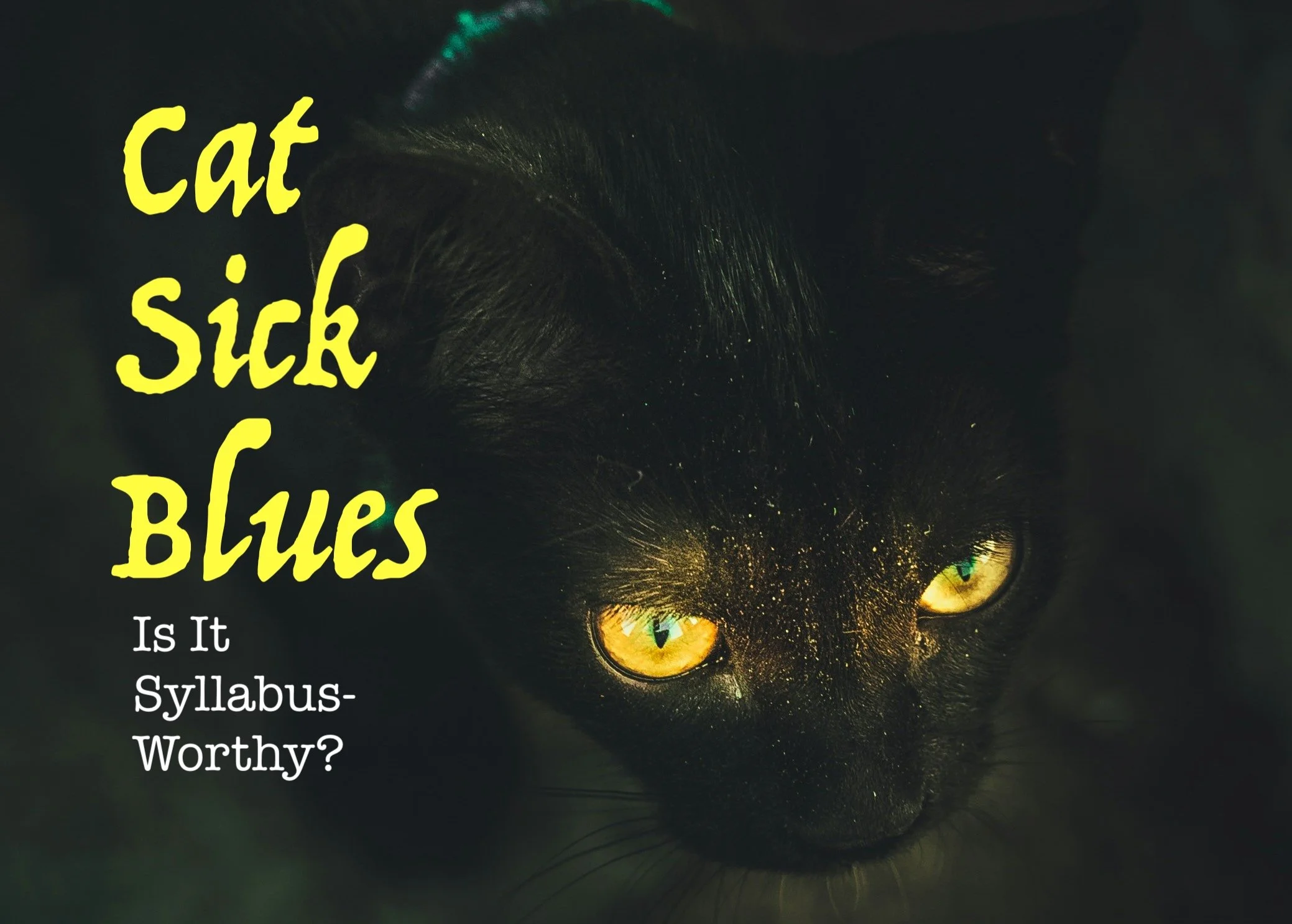 Cat Sick Blues: Is It Syllabus-Worthy?
