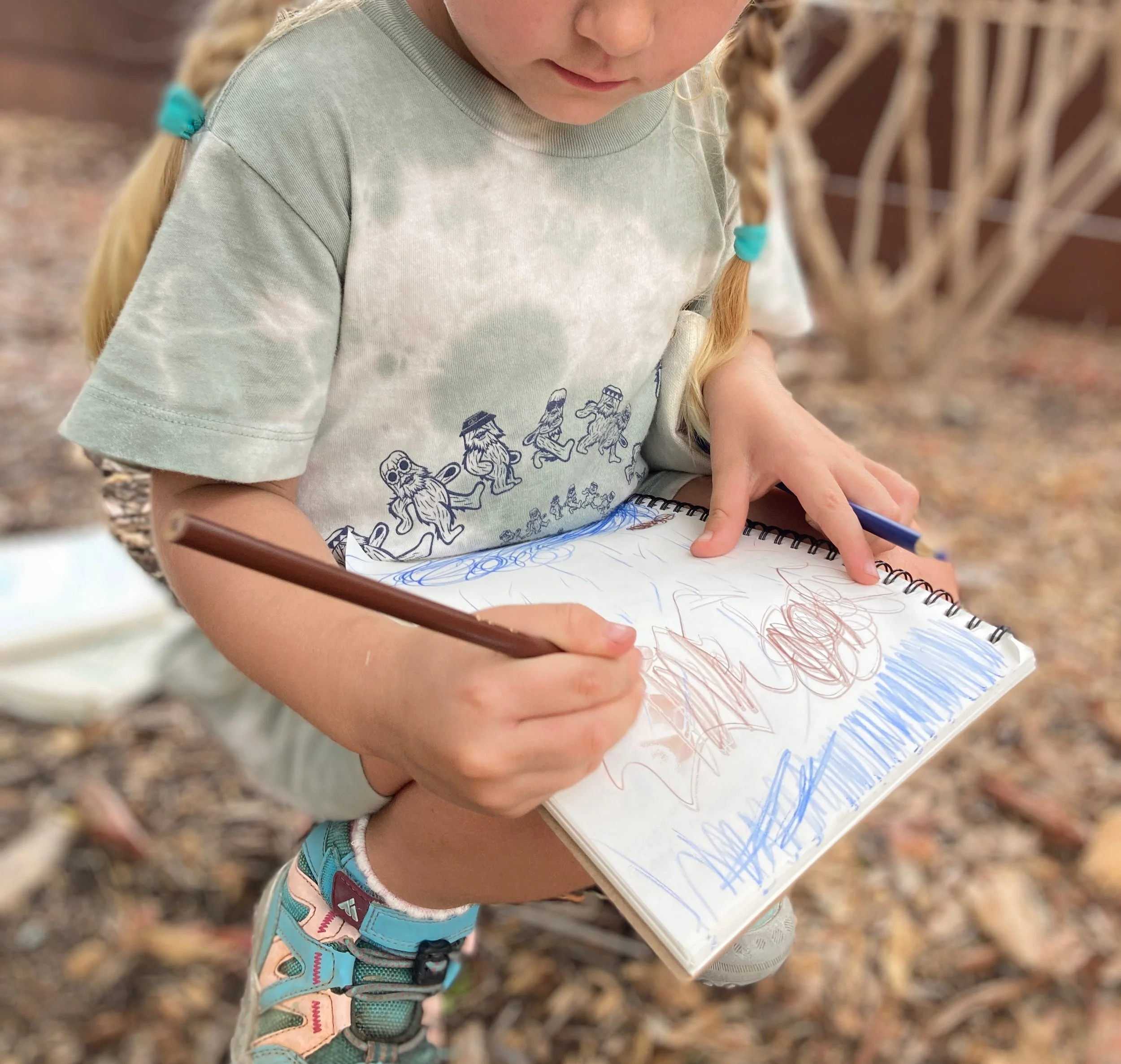Reggio Emilia and Nature-Inspired Homeschooling