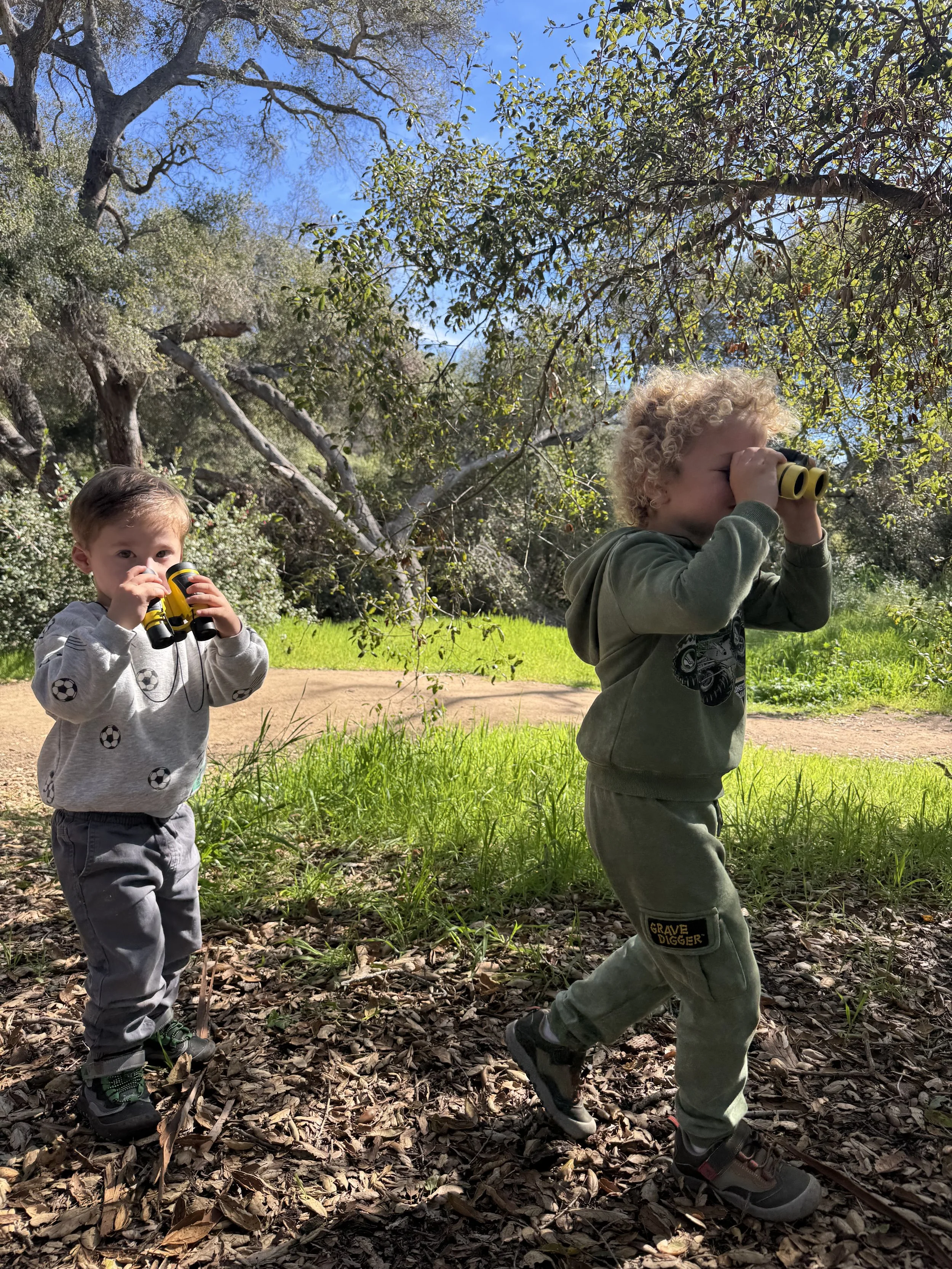 What Children Learn in a Single Day at Nature School (That You Can’t See on a Worksheet)