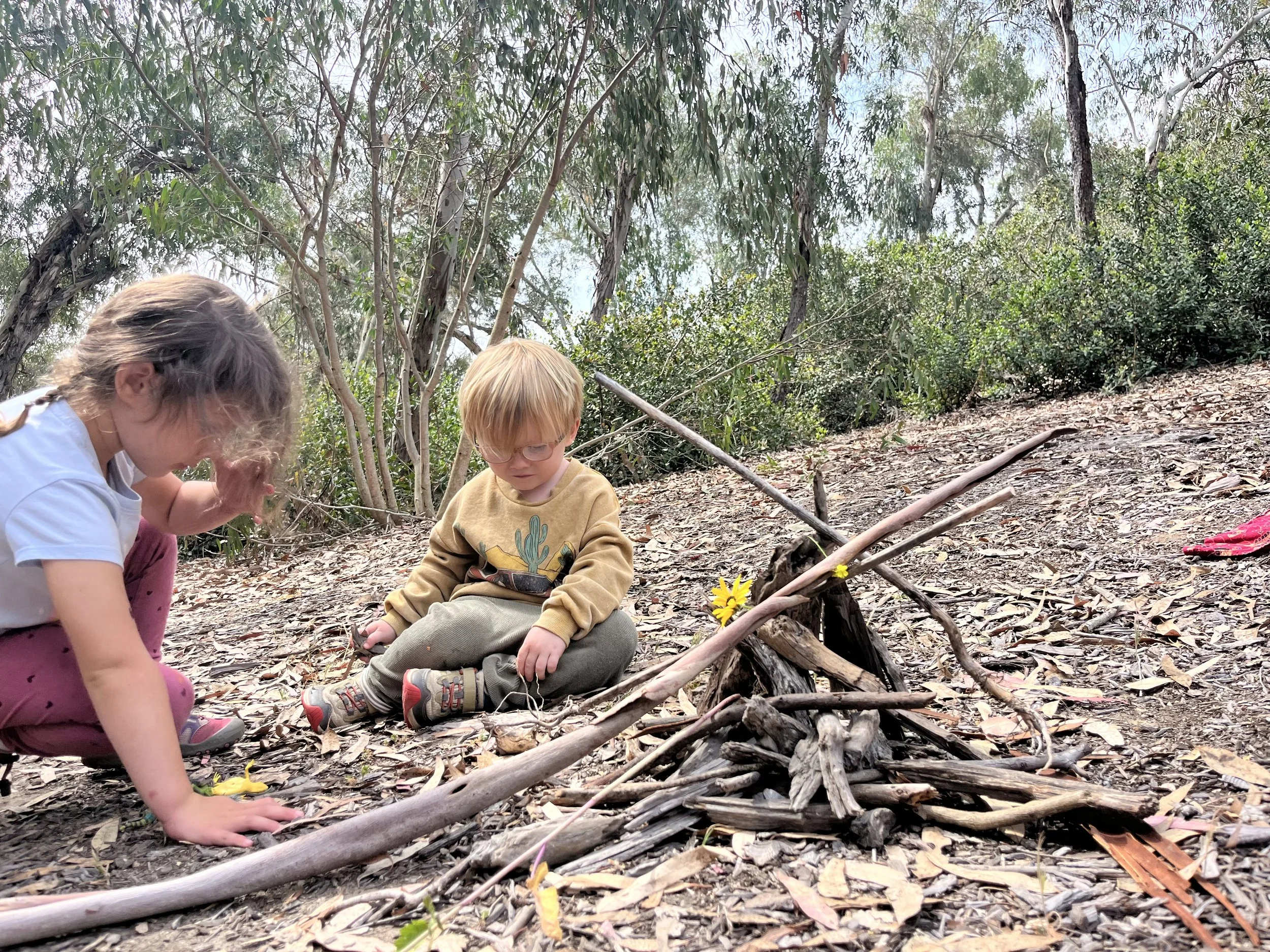 What Makes a High Quality Nature School?