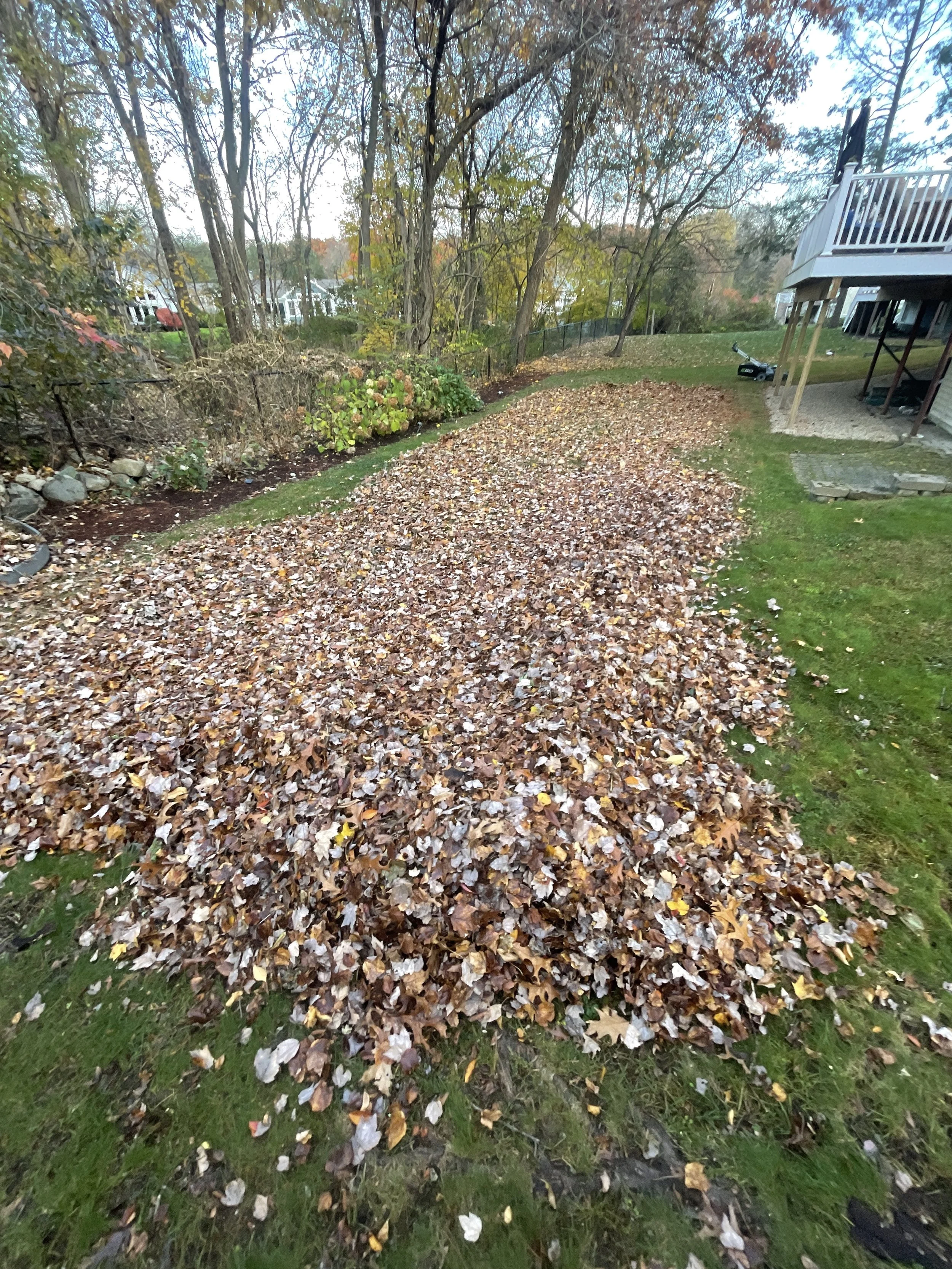 A Starter’s Guide to Gardening in New England