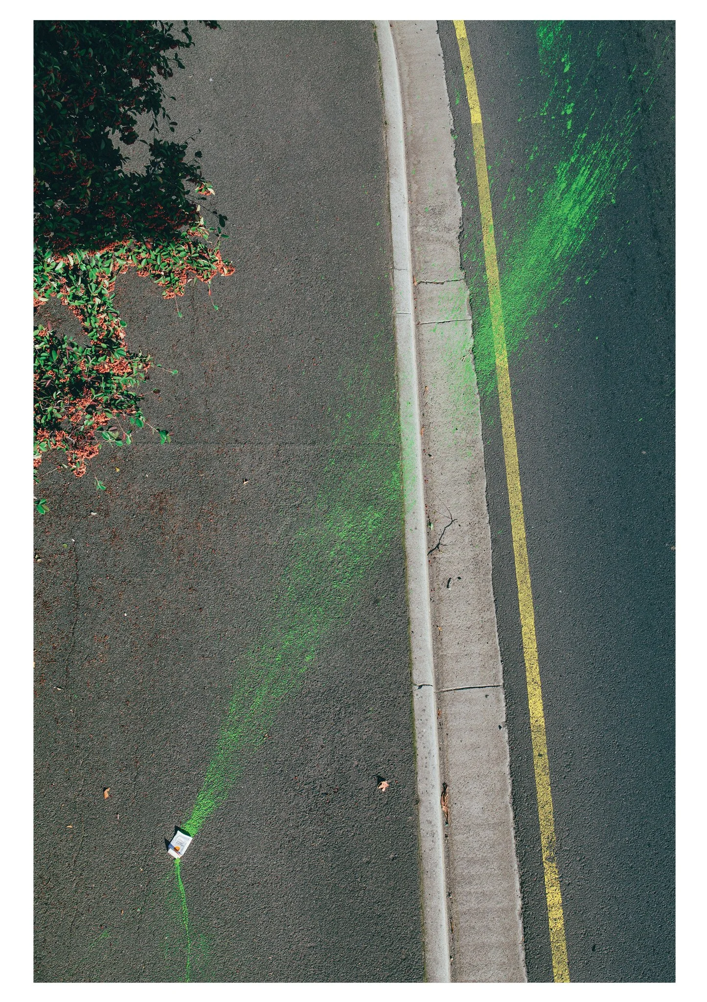 Juiceboxprint-3.jpg