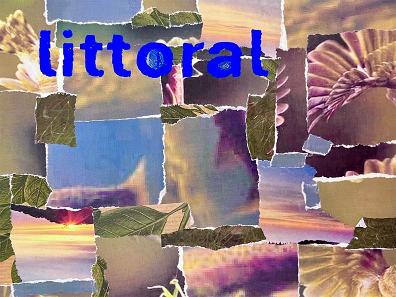 Next Exhibition in the Gallery