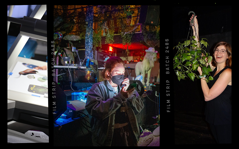 Stop Motion Plant- Gallery Hours