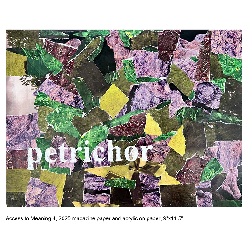 petrichor-800sq.png