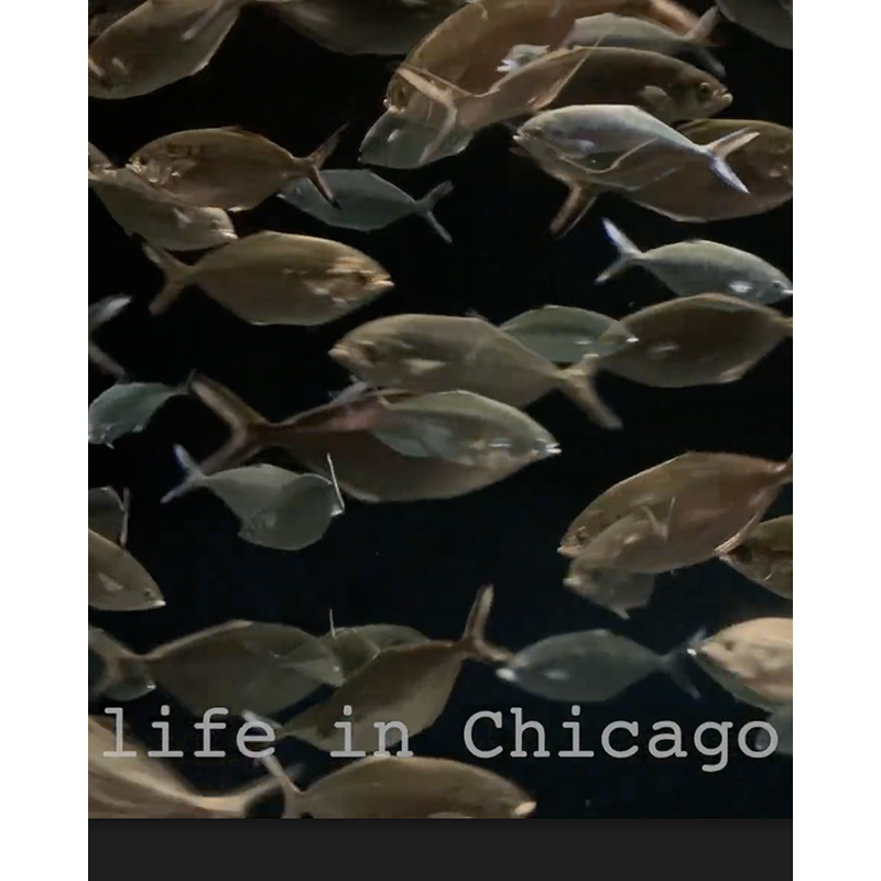 LIFE IN CHICAGO / still from the self-edited 4 min video