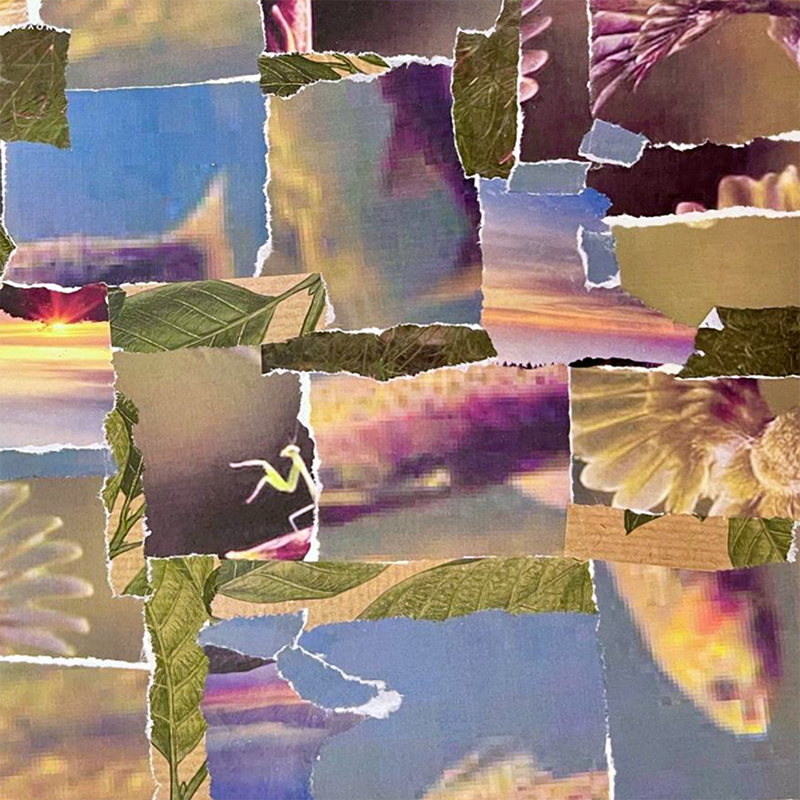 Hua-littoral-Art1-detail-800sq.png