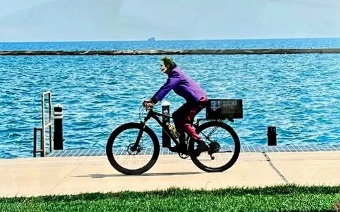 Next Exhibition in the Gallery