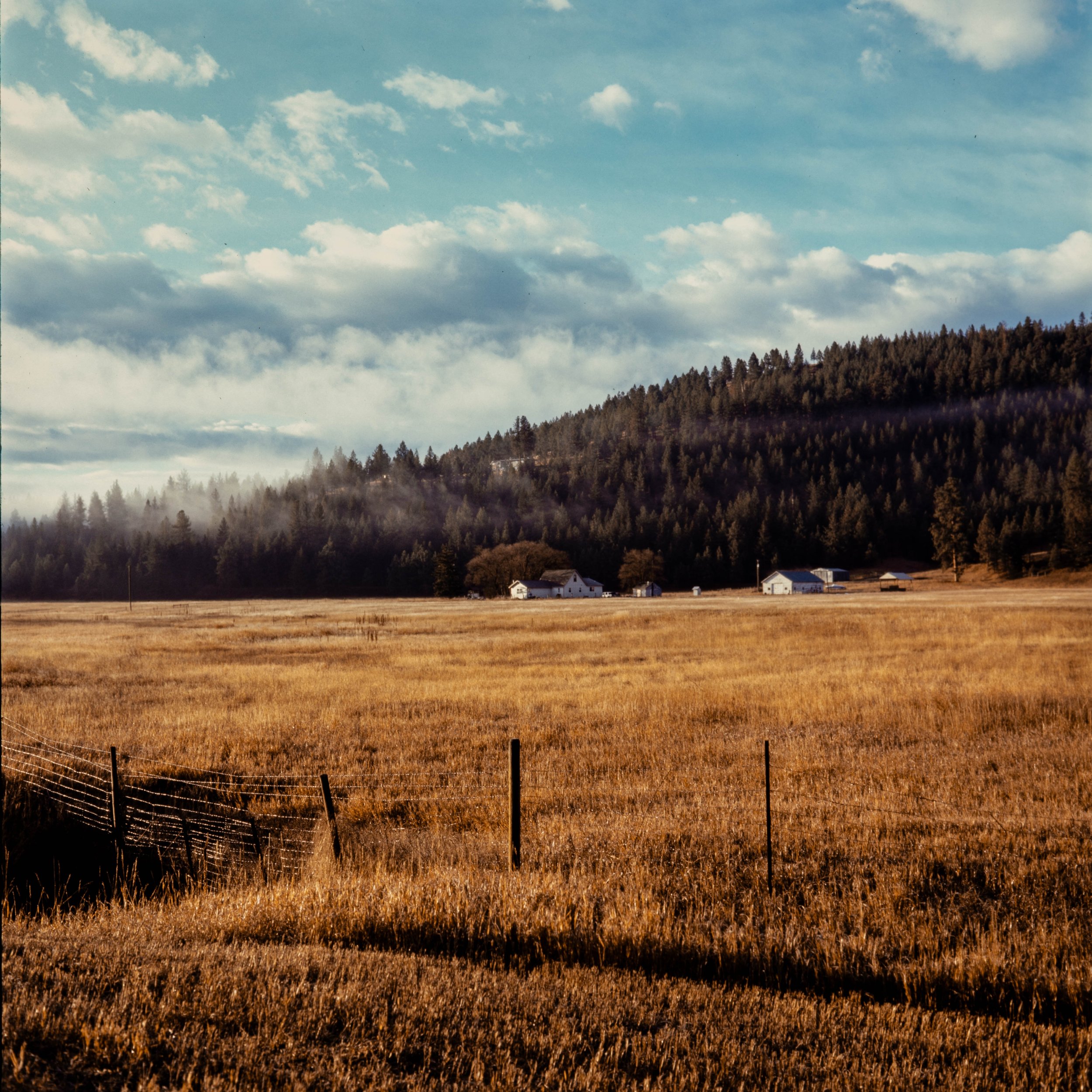 Fuji Provia 100 Hasselblad 501CM