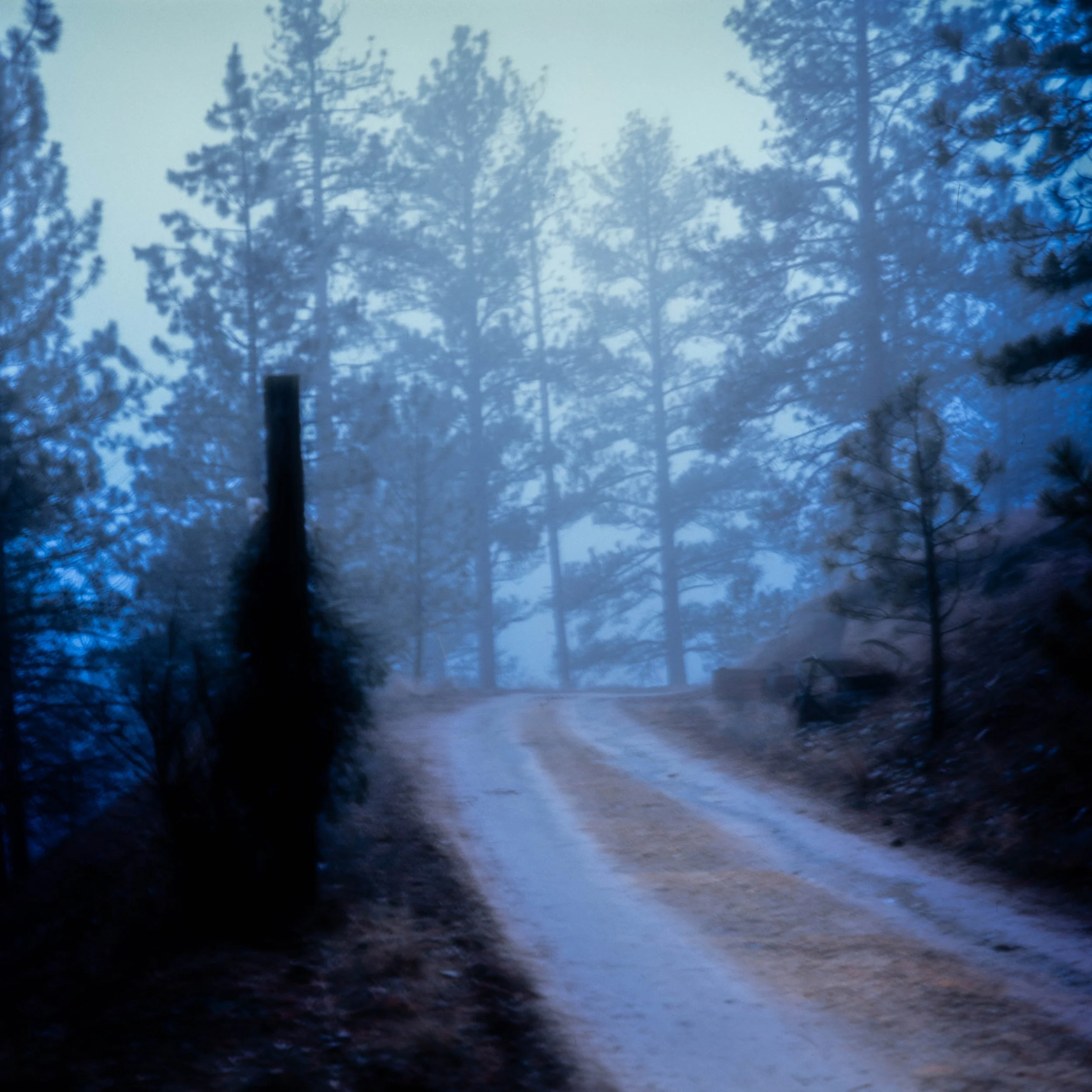 Fuji Provia 100 