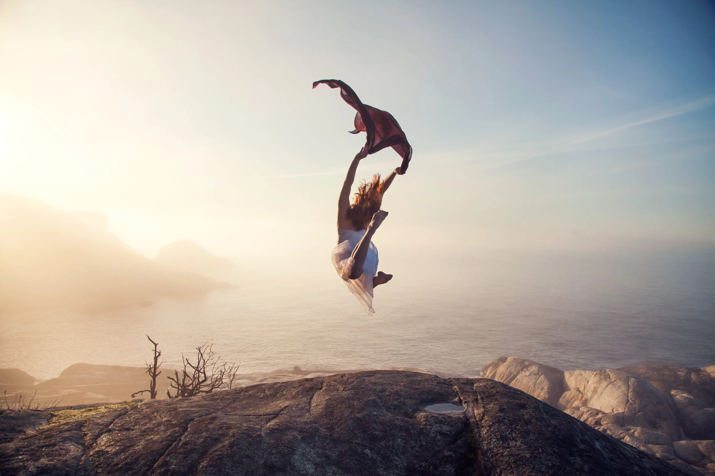 The Dance Collection // II