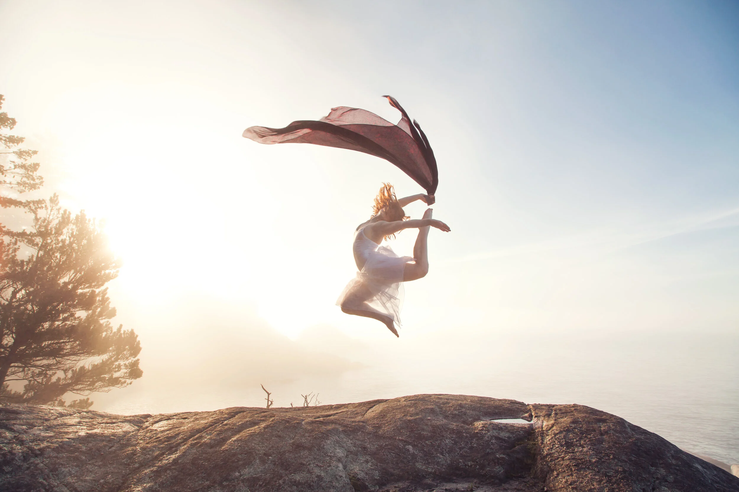 The Dance Collection // III