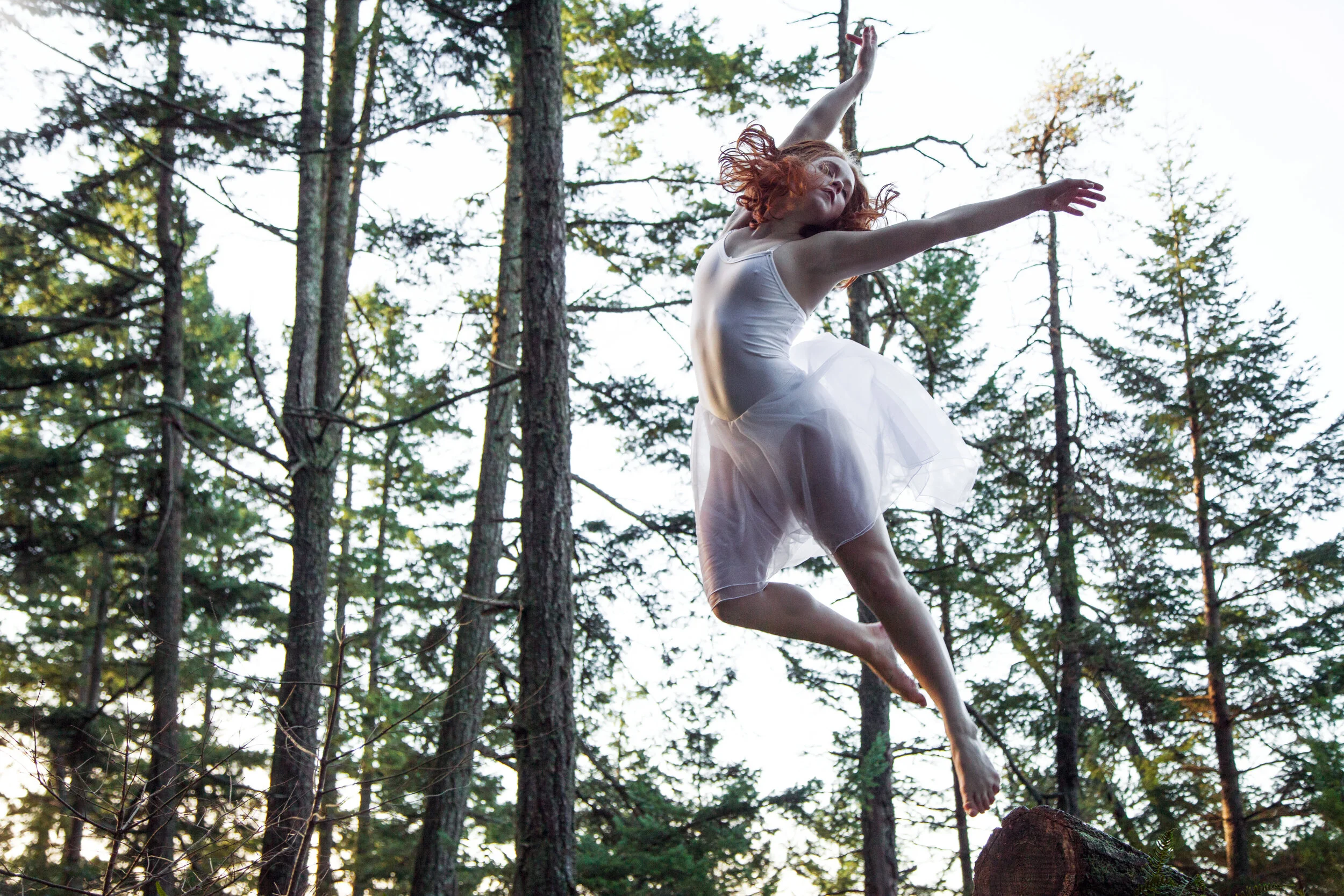 The Dance Collection // 4