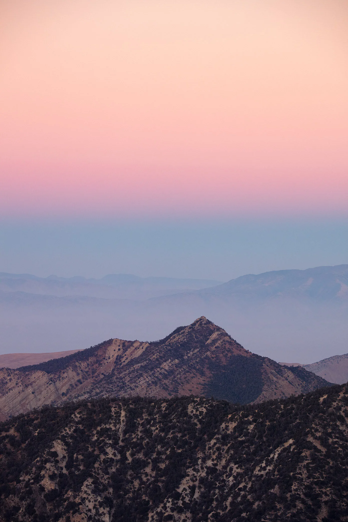 COTTON CANDY DREAMS I 