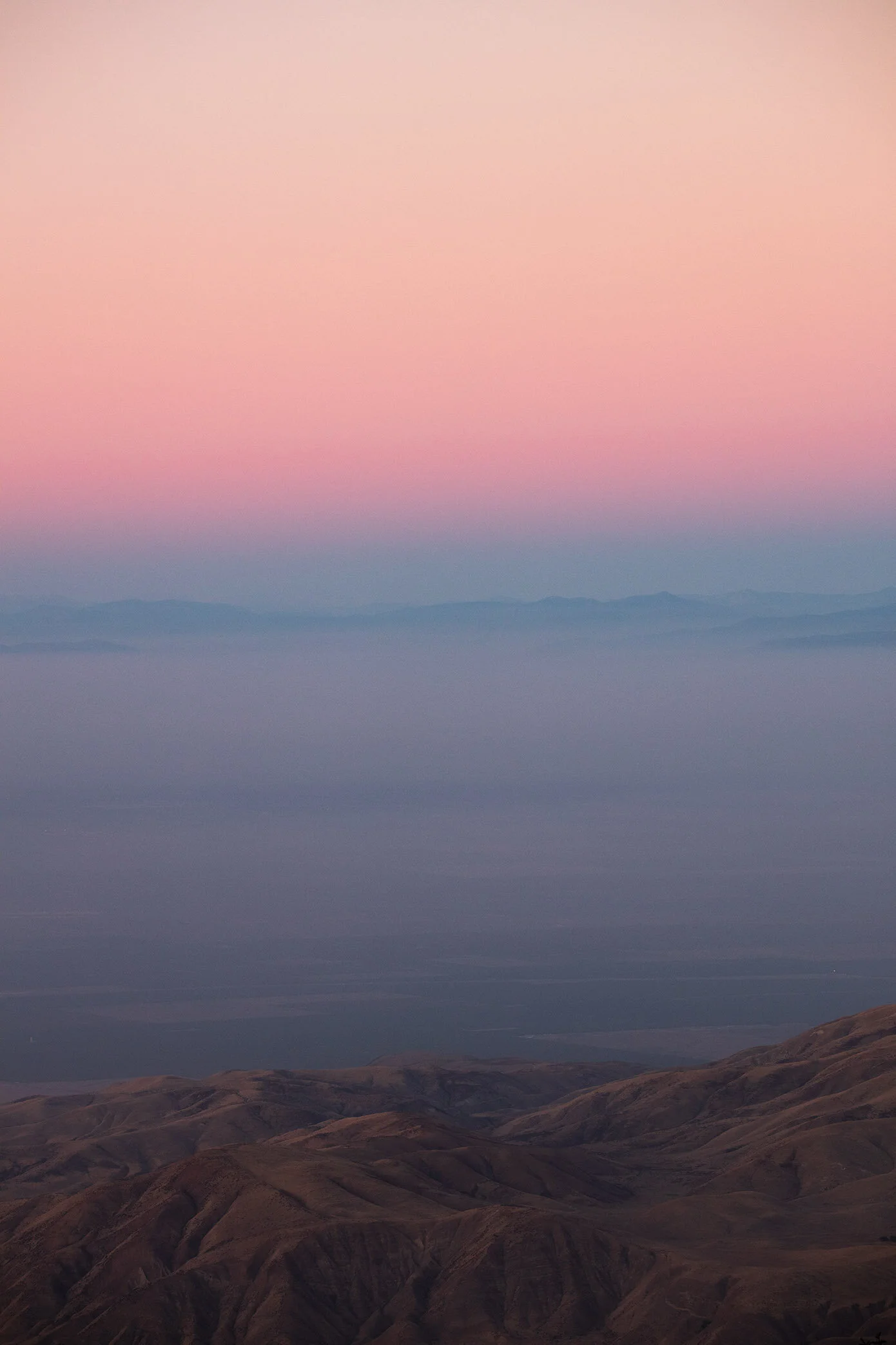 COTTON CANDY DREAMS II