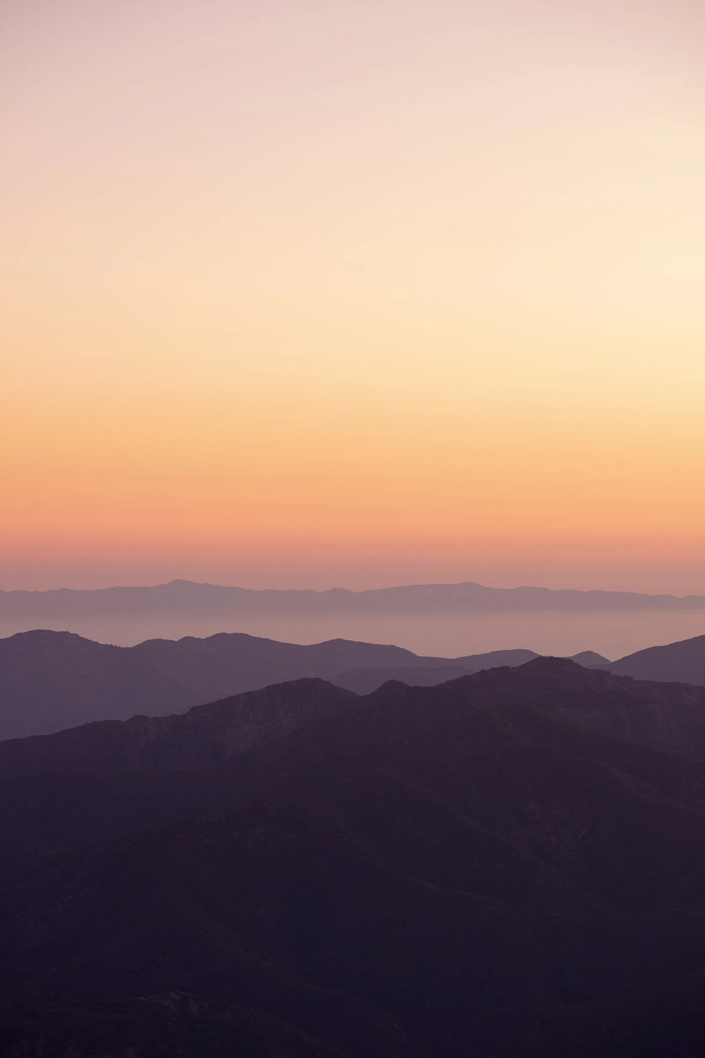 COTTON CANDY DREAMS III