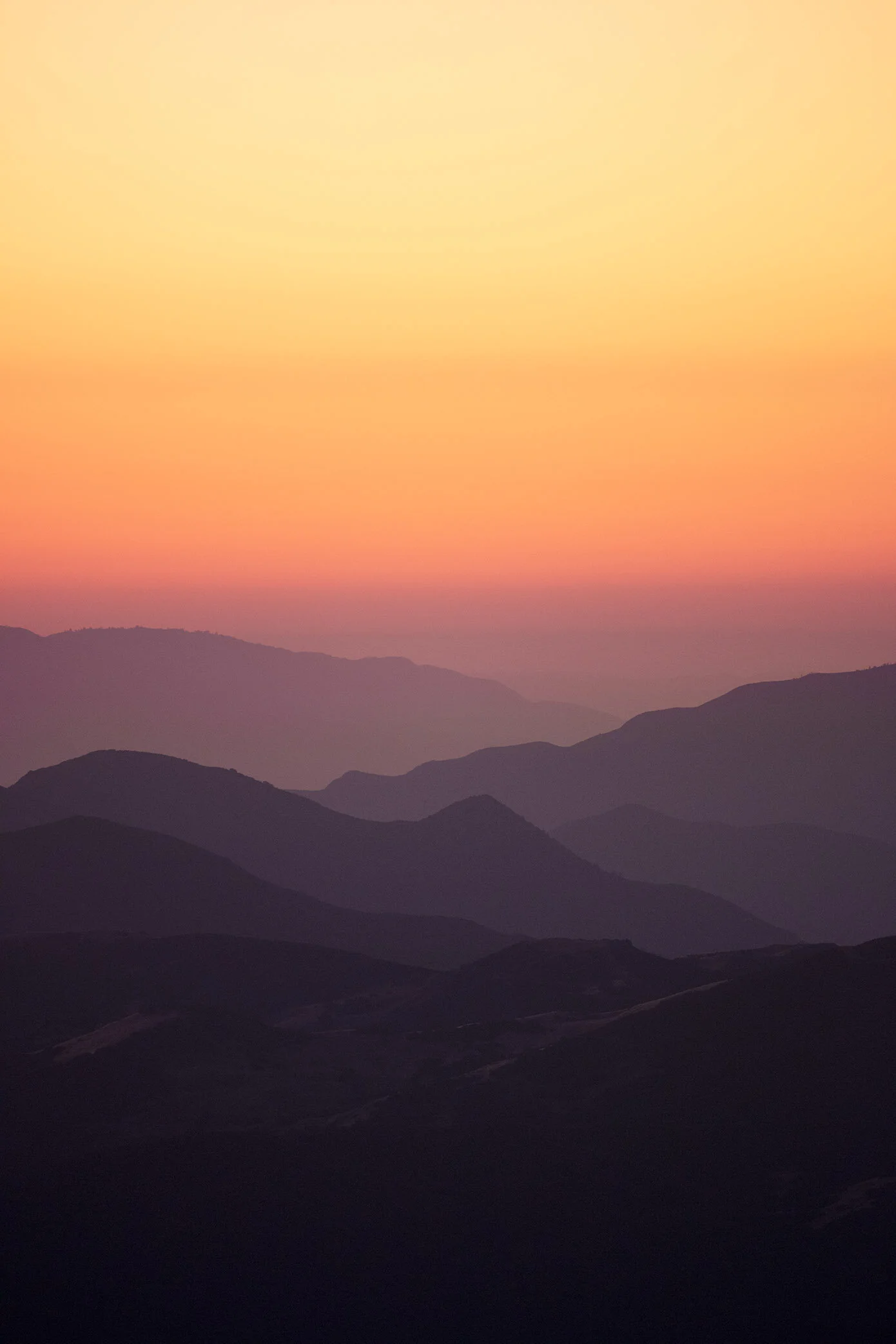 COTTON CANDY DREAMS 4