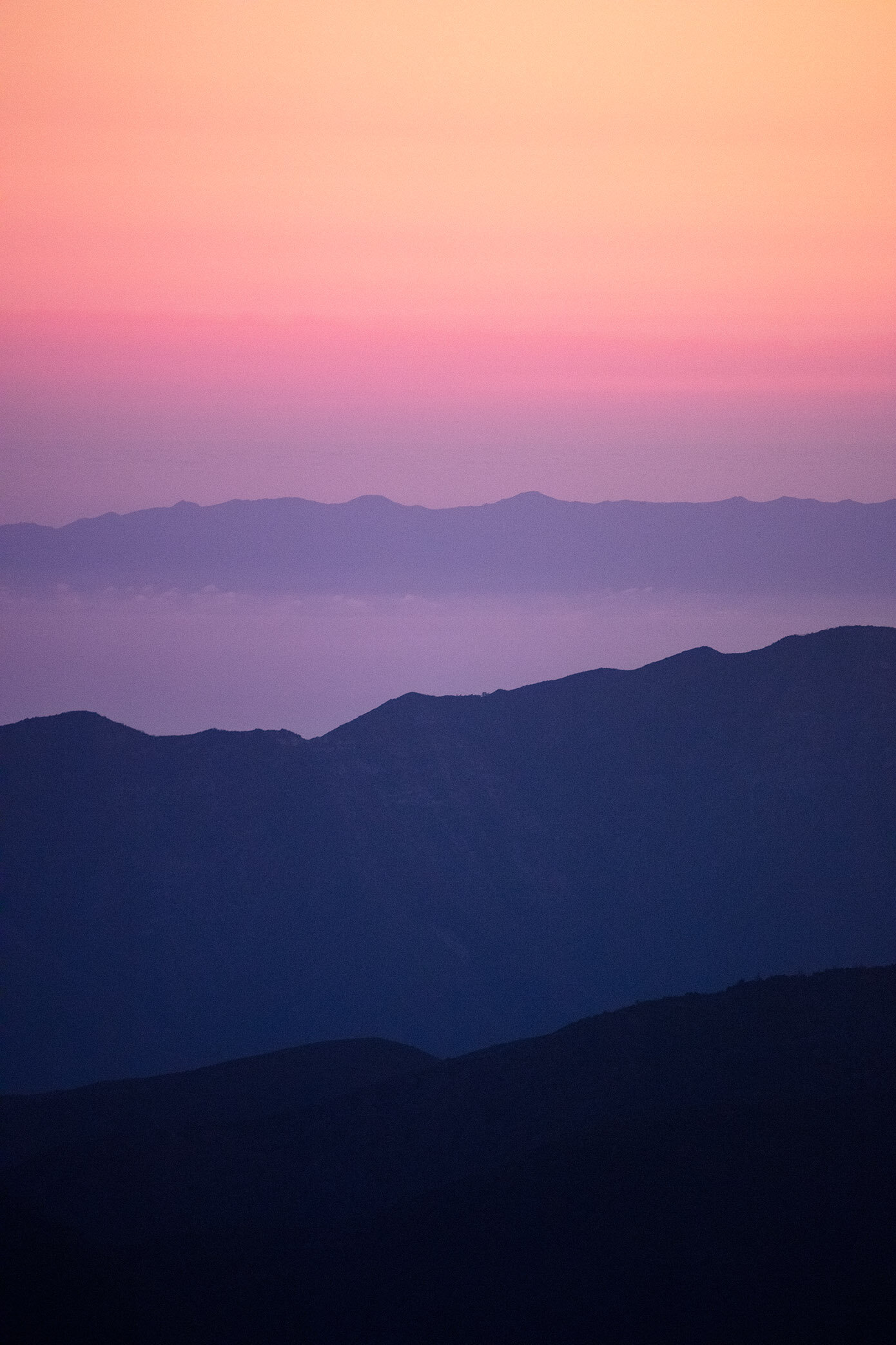 COTTON CANDY DREAMS 5