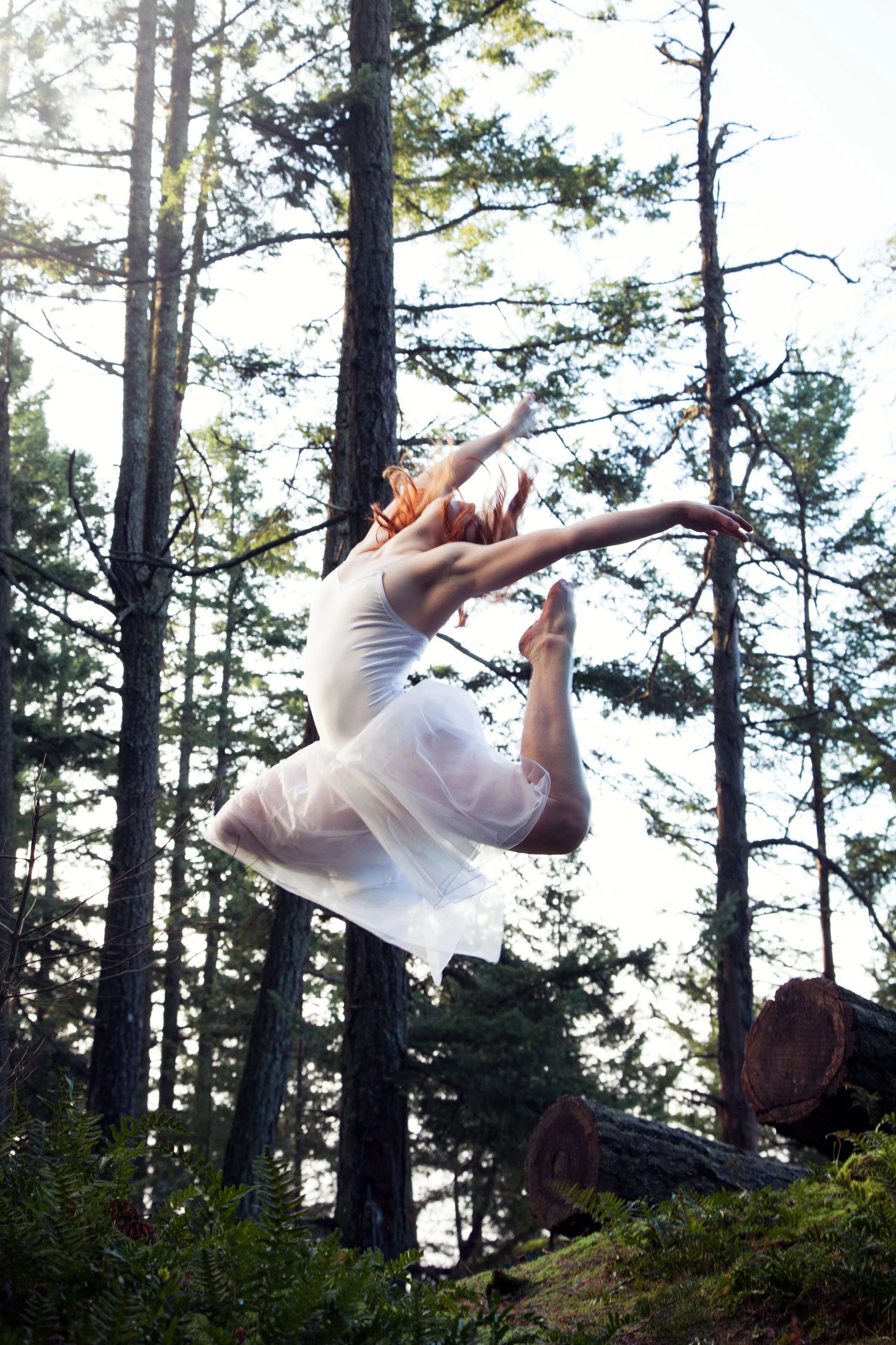 The Dance Collection // 5