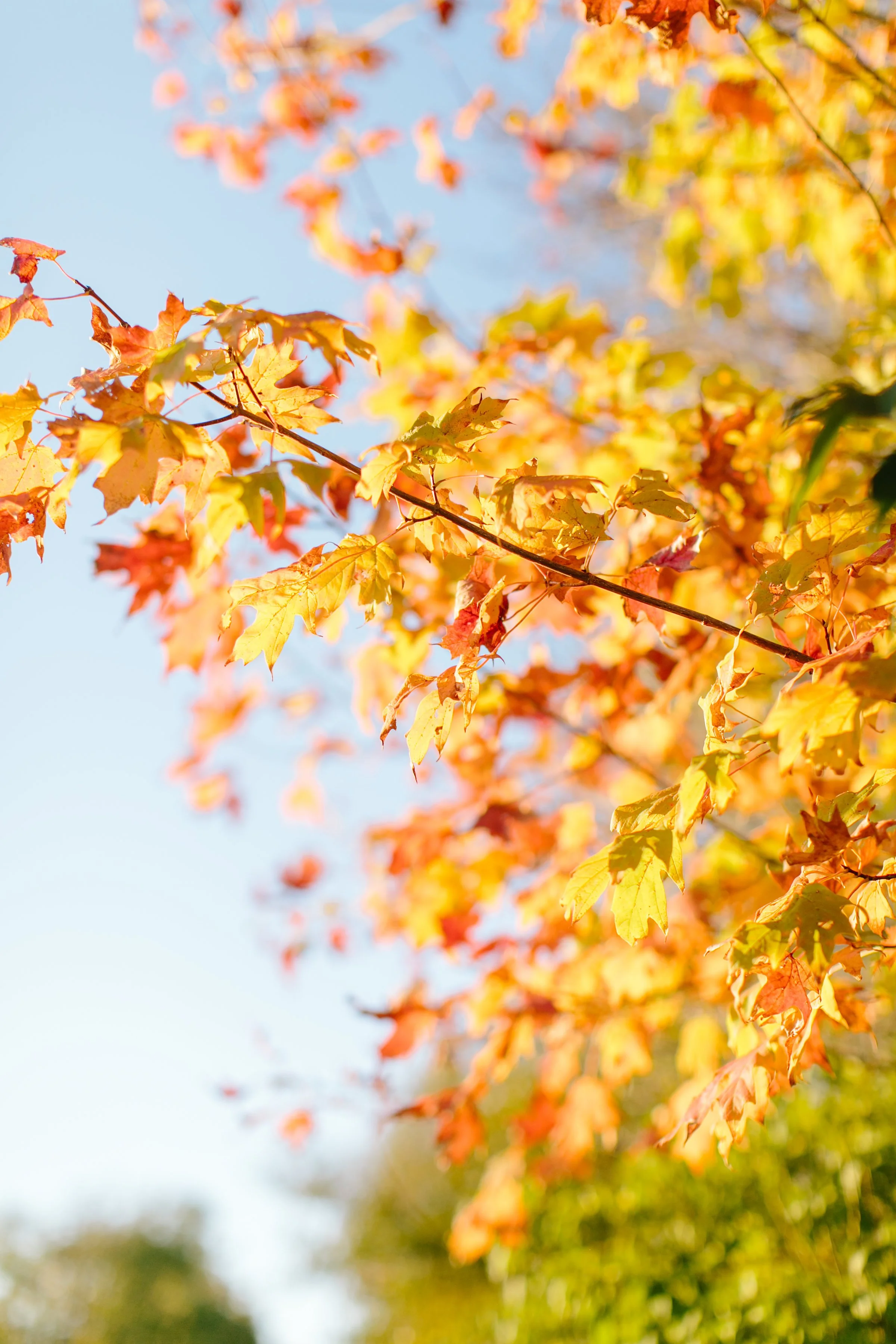 Fall Prevention 
