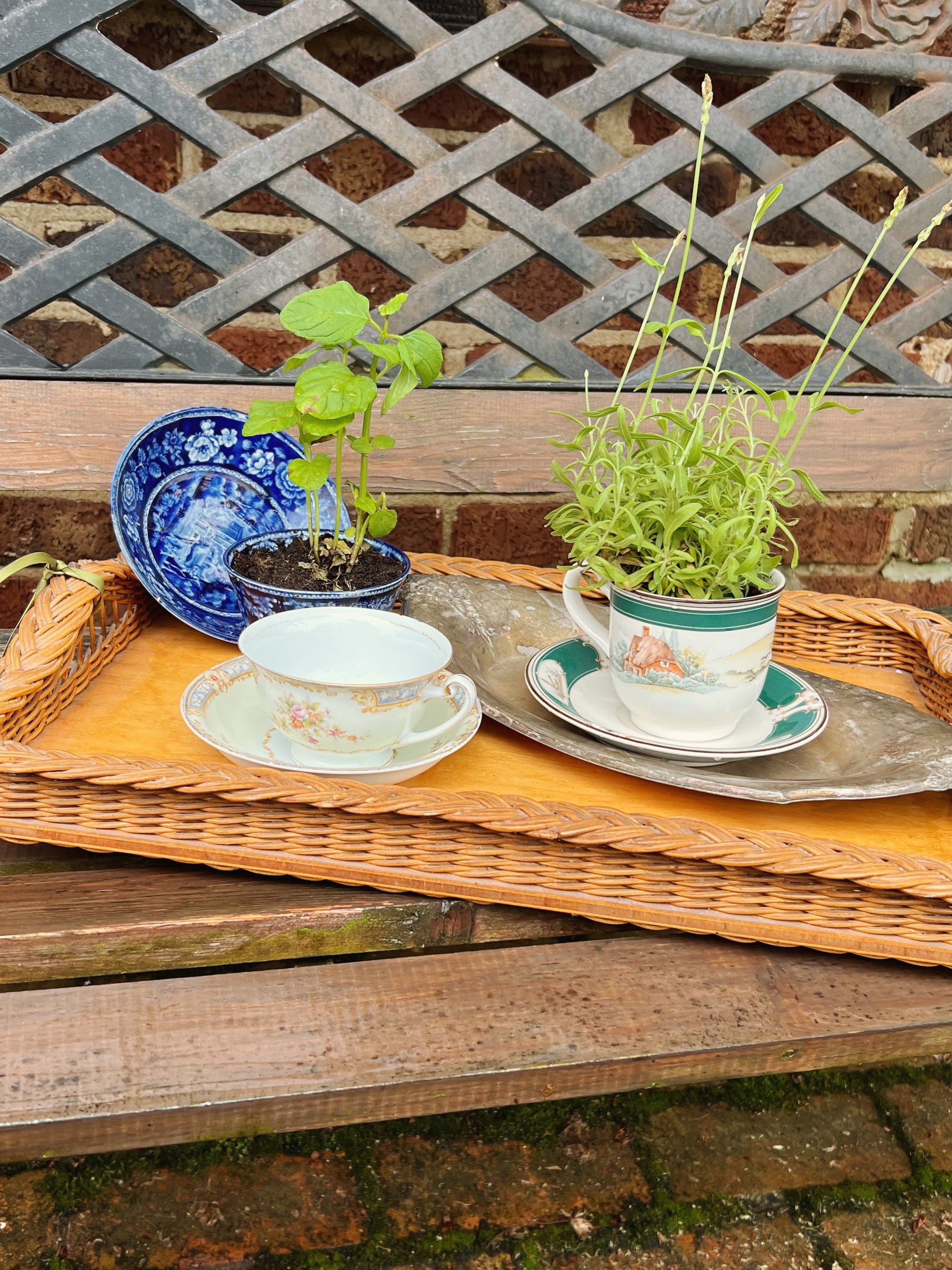 Thyme to Garden Event: May 3