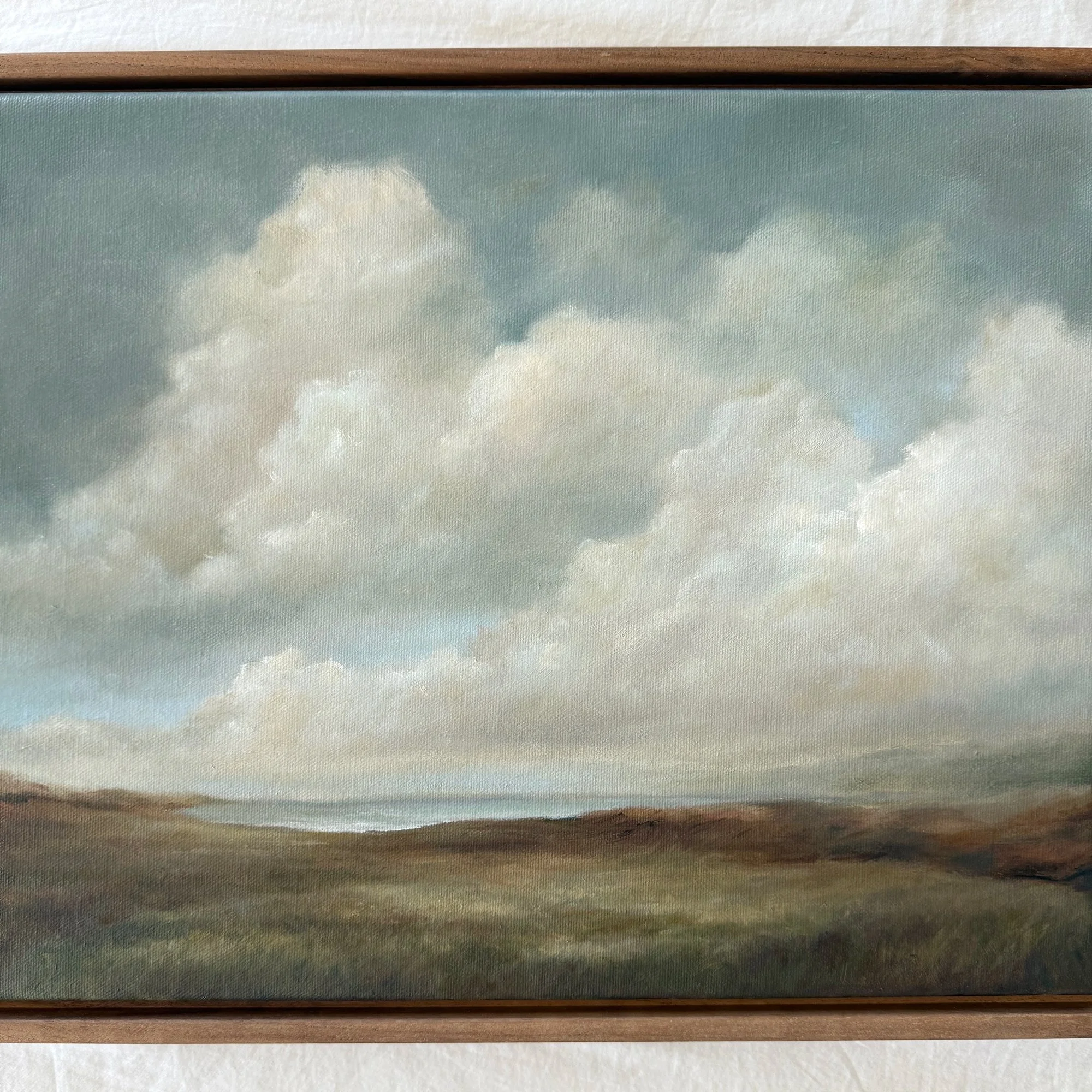 coastal-skies-close-up.jpg