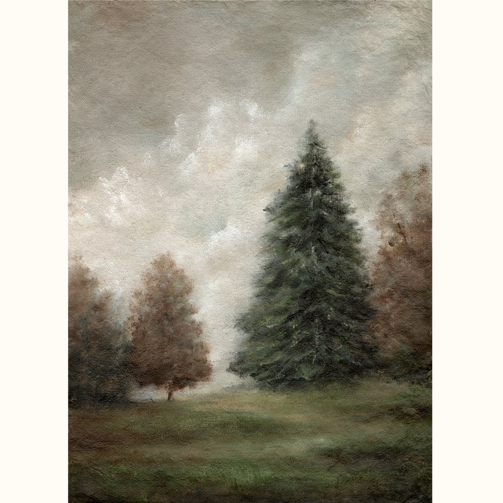 pine-tree-on-white.jpg