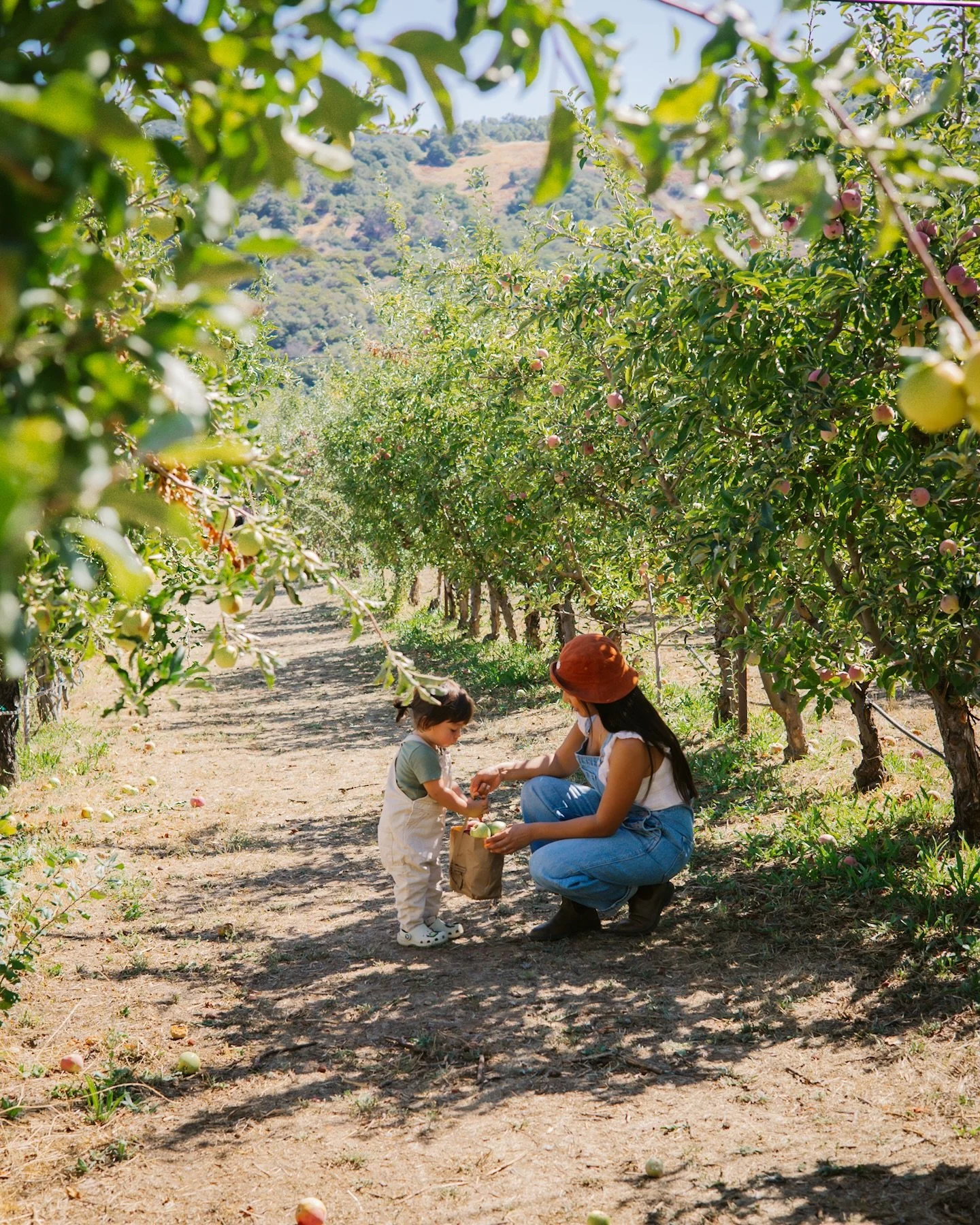 September 2025 ☀️🏛️✈️🎟️🍎

It was a wonderful month full of activities and preparation for our Europe trip that we&rsquo;re currently on! We went apple picking for the first time, attended the Jonas Brothers concert in San Diego, spend quality time