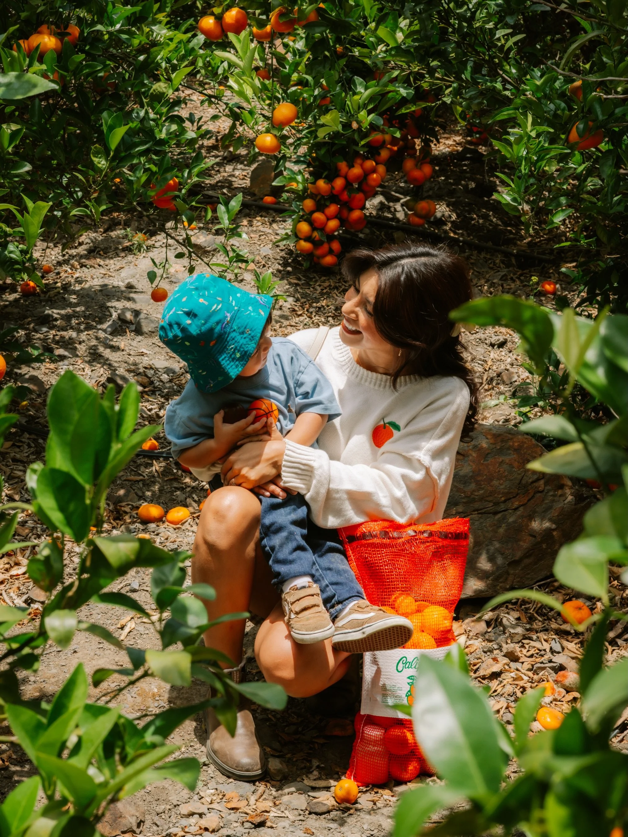 May 2026 🍊🎨🫐💐

Oh beautiful month of May! Started with a new experience of kickboxing that kicked my butt, celebrated the beautiful mothers in my life, finally embroidered something which I am very fond of, cut my own hair, wen blueberry and tang
