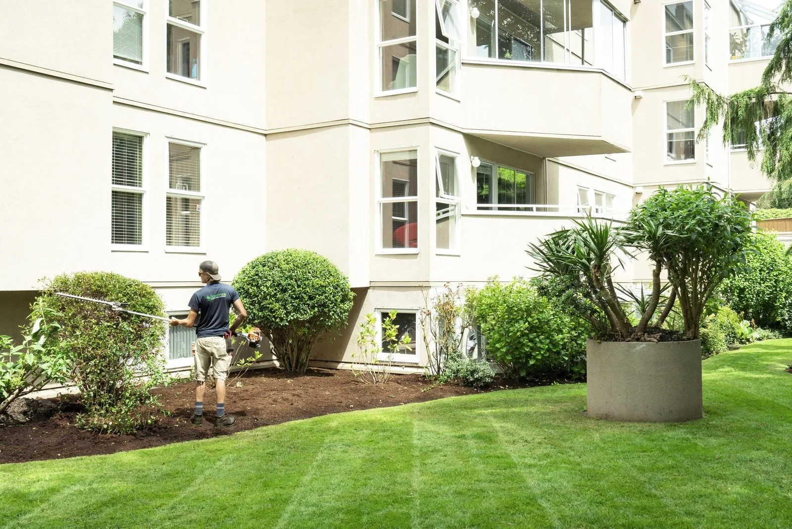 strata-hedge-trimming-victoria-bc.jpg
