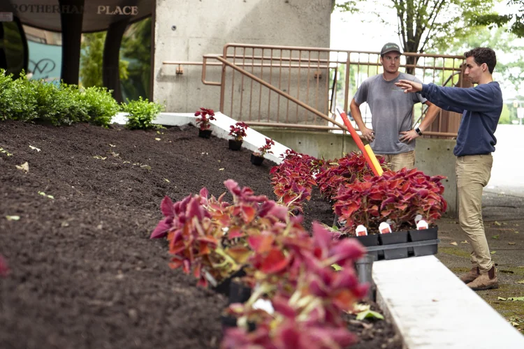 Green Image landscaping installation Victoria BC