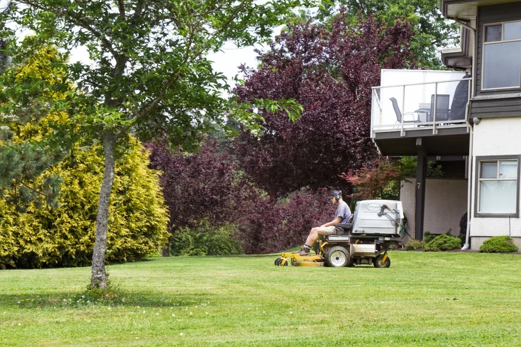 Green Image mulching services Victoria BC