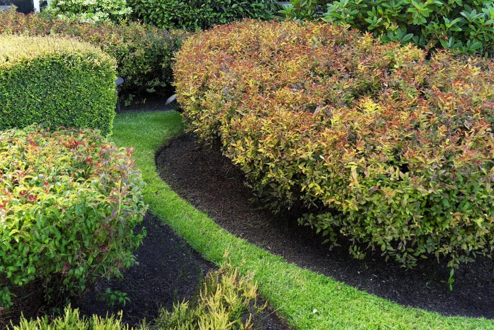 mulch-bed-autumn-shrubs-victoria-bc.jpg