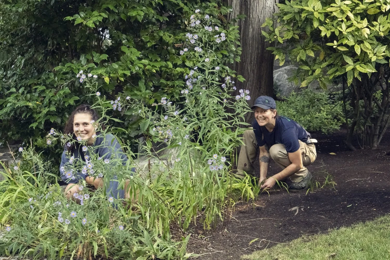 landscape-installation-planting-victoria-bc.jpg
