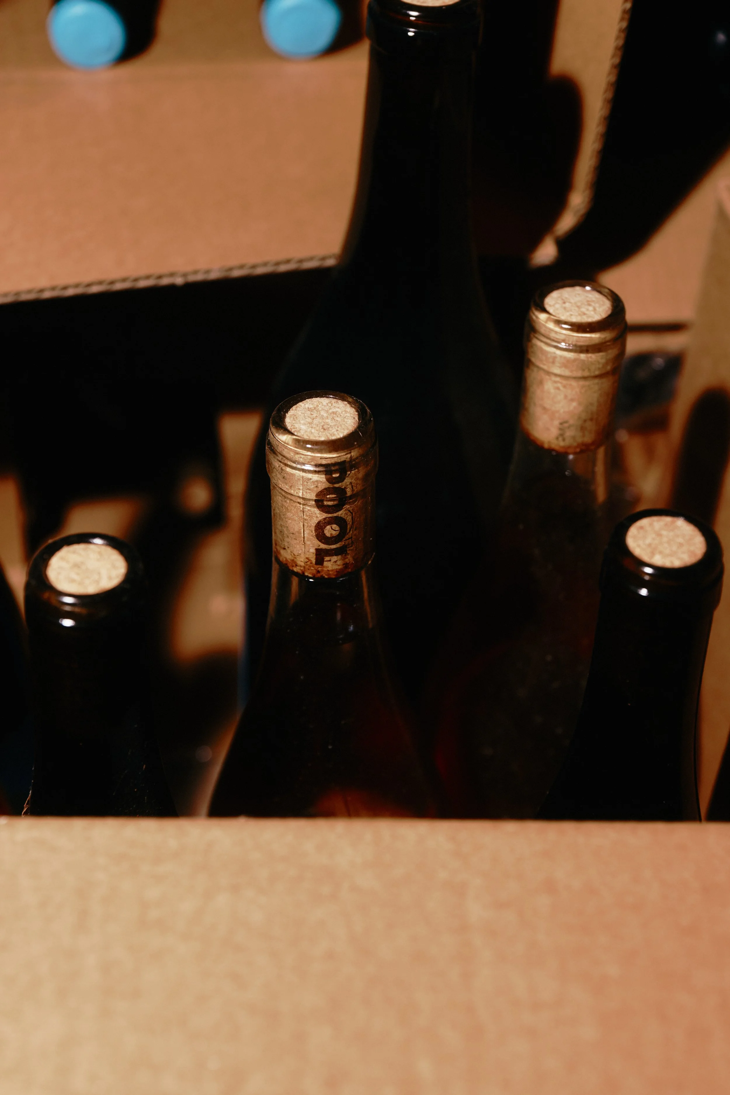 20260714_PoolWines_0349.jpg