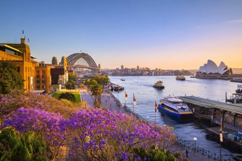 A scenic view of Sydney Harbour at sunset, featuring the Sydney Opera House, Harbour Bridge, boats on the water, and purple flowering trees in the foreground.