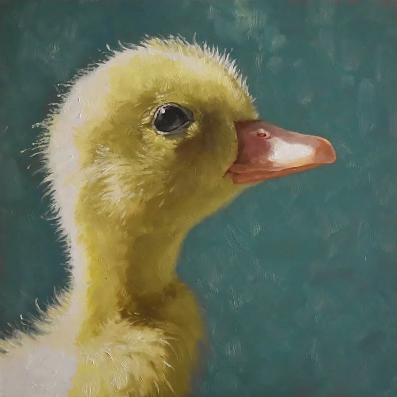 Meet Jan Little, Local Artist