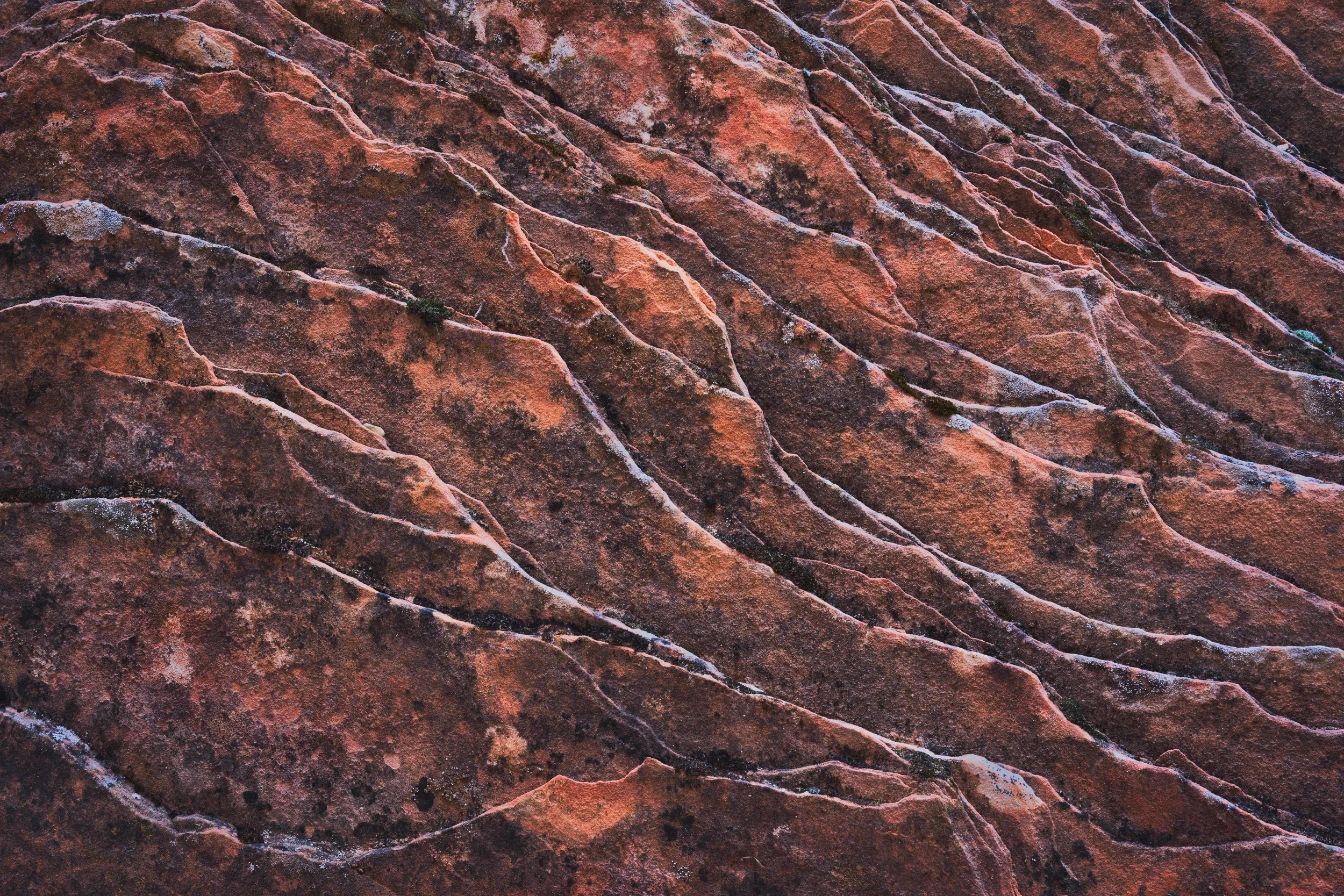 Recurrence of Thought