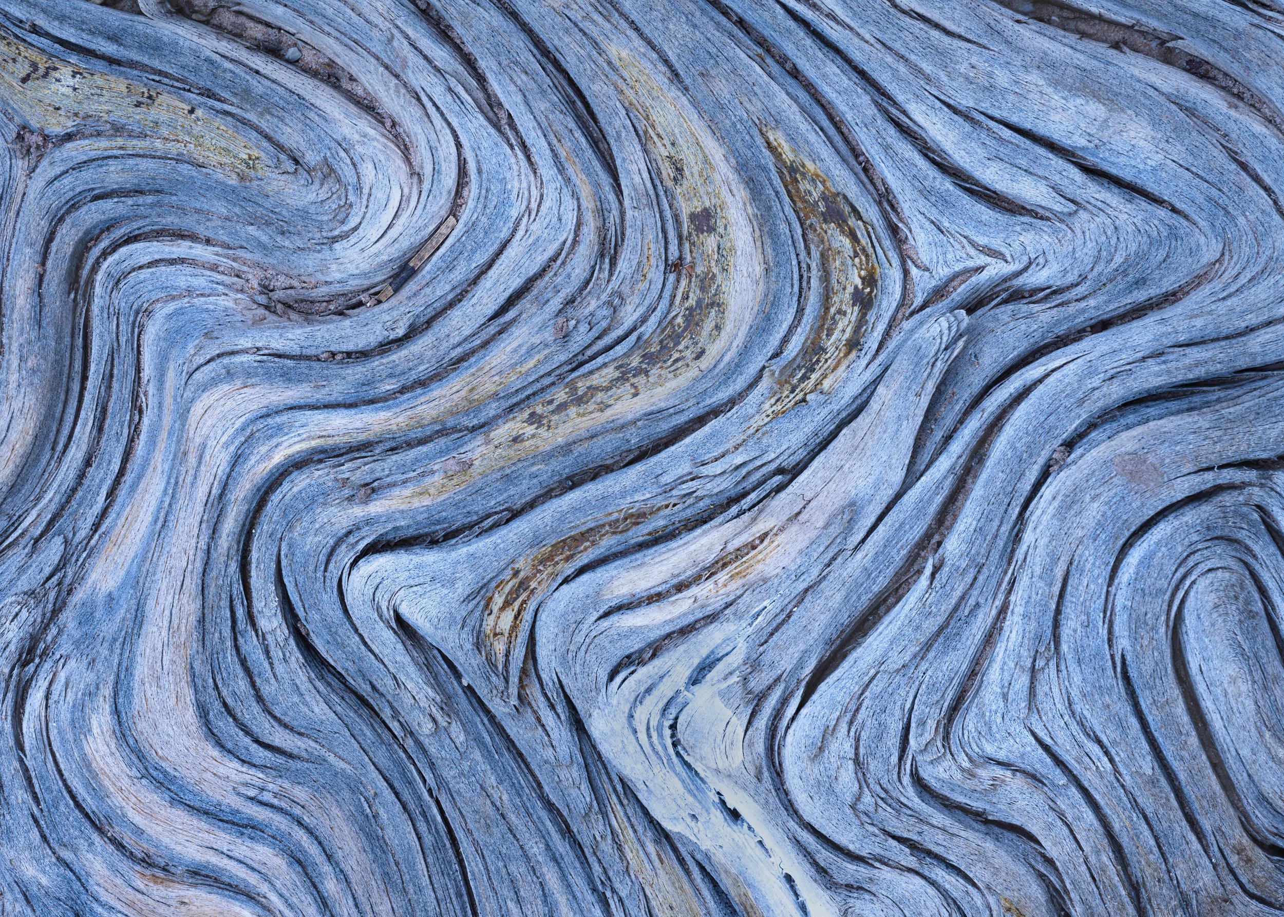 Drifting Distortions