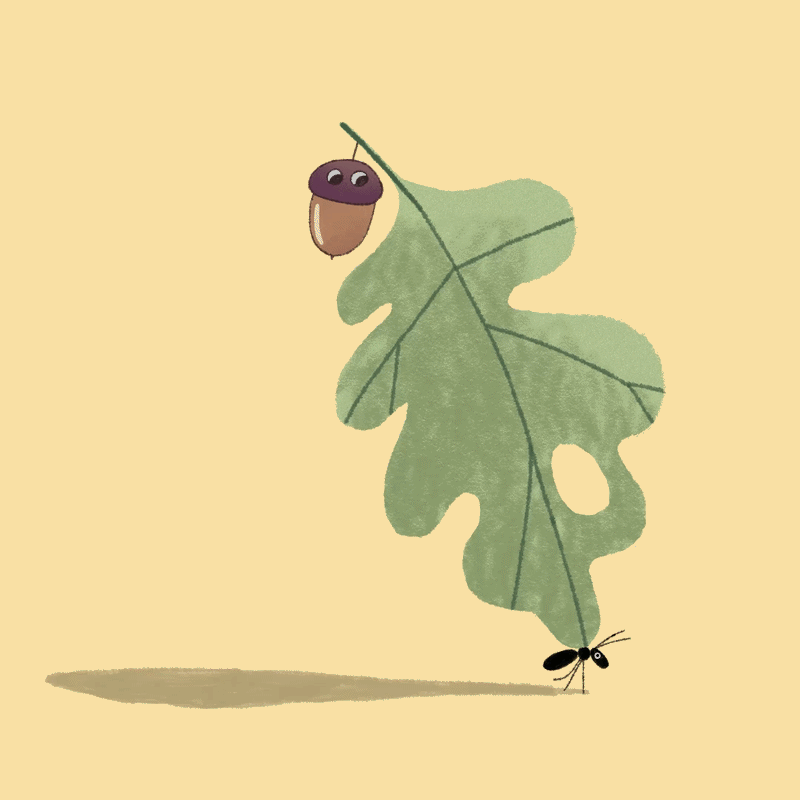 OAK.gif