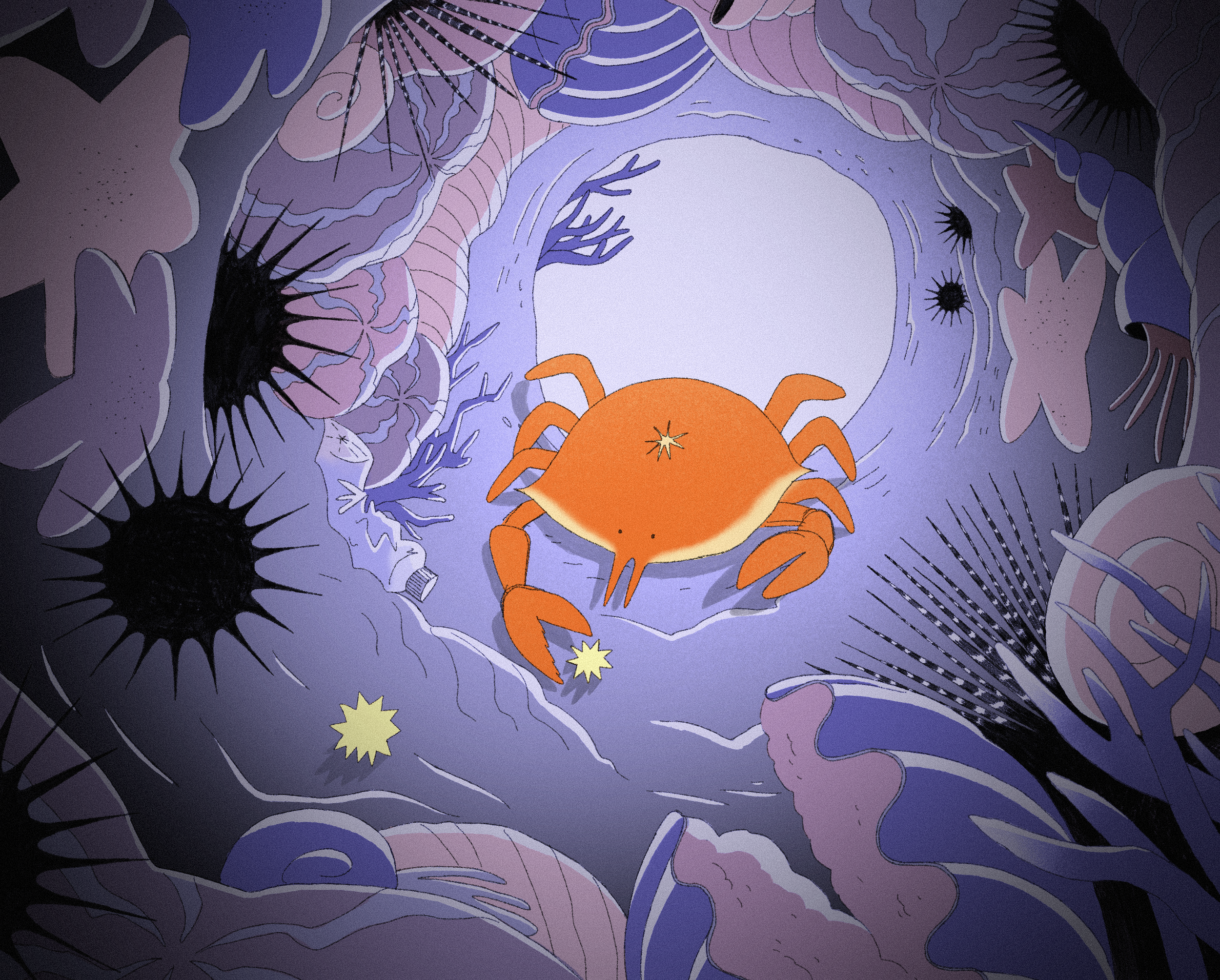 katgmorris.com - crab find.PNG