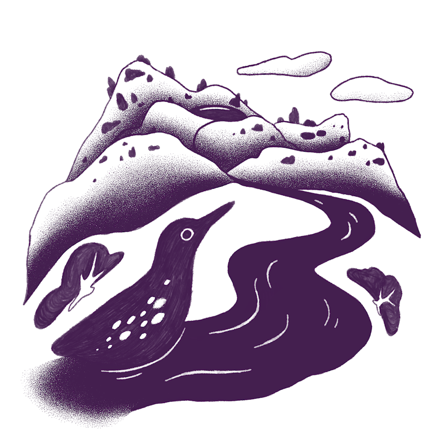 AS_FORWEB.png