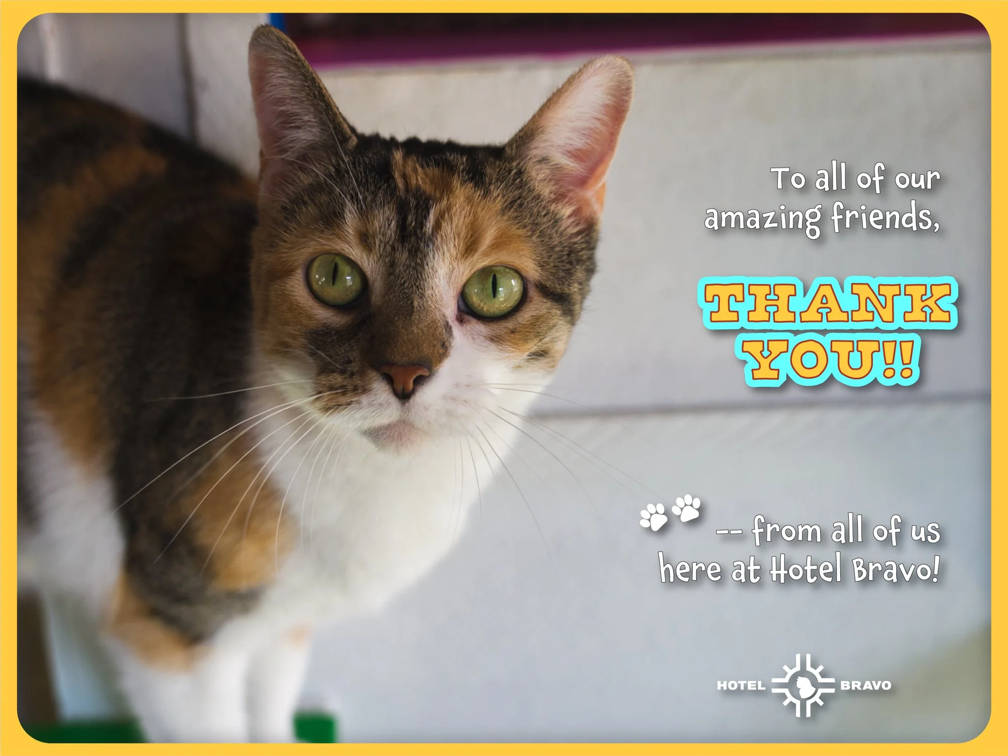 Wishing you all the best this Thanksgiving! 😻🦃 

-- with love, from your friends at Hotel Bravo. ❤