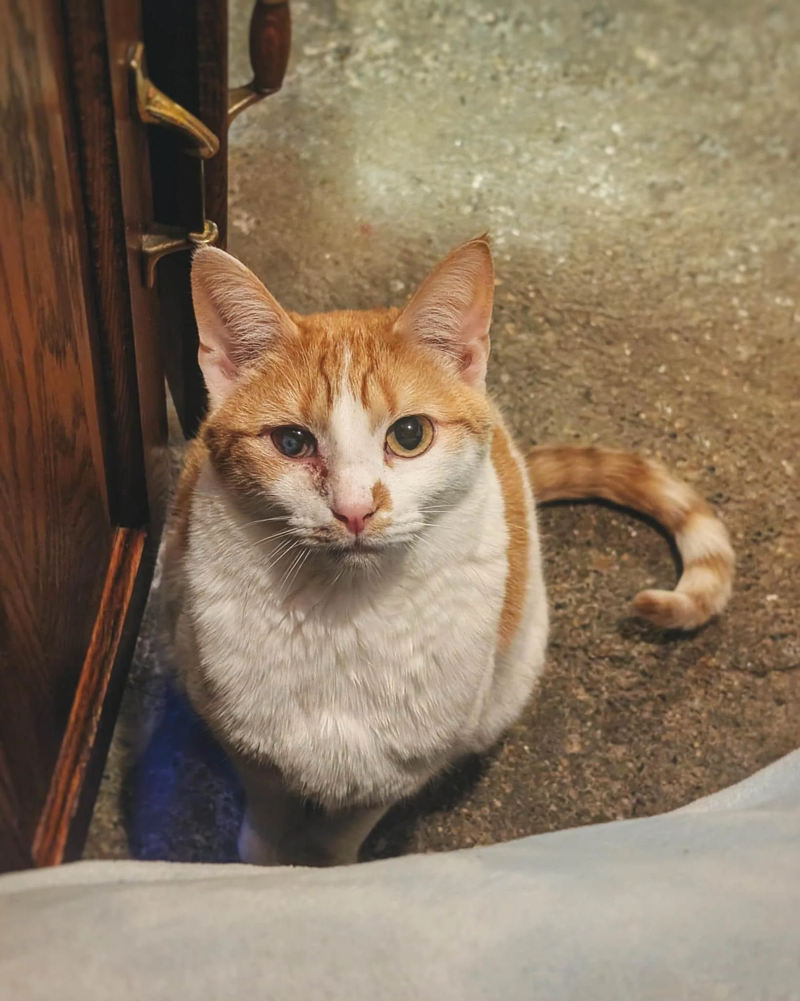 ...asking politely for some late-night snacks.