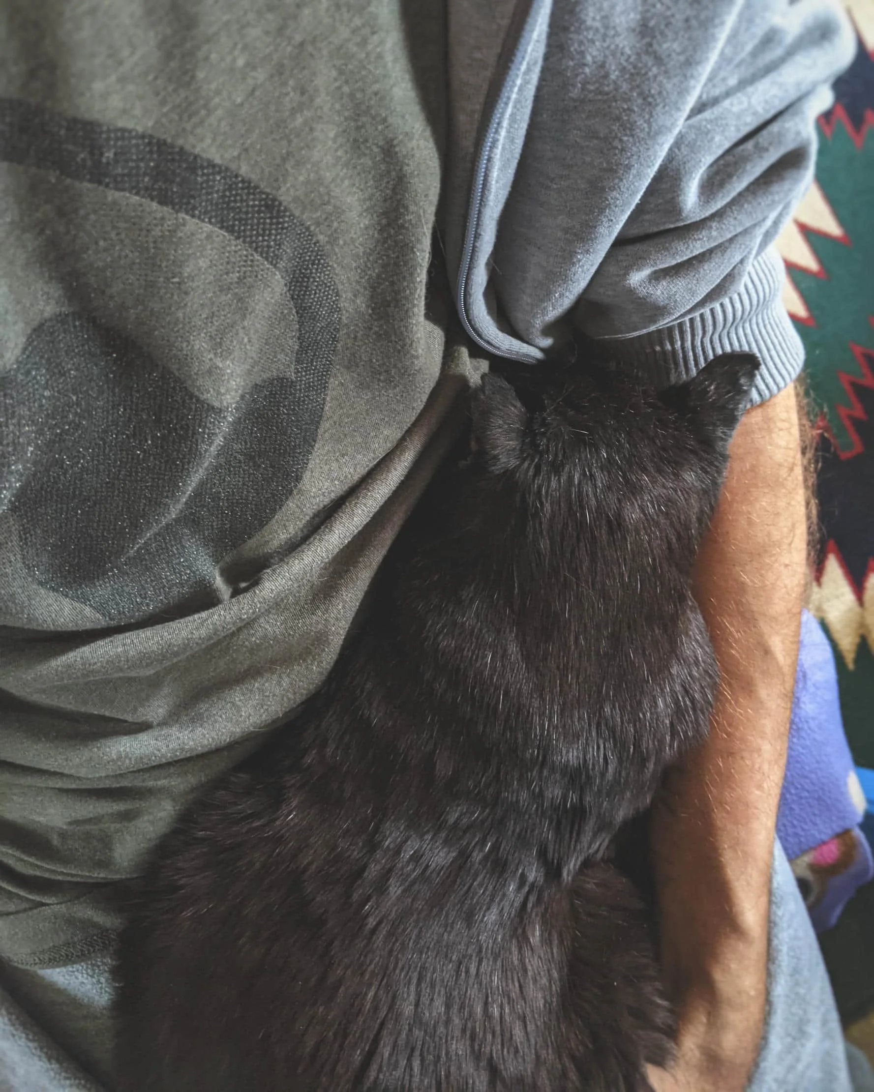 PXL_20230113_184639840.MP-01 (1).jpeg