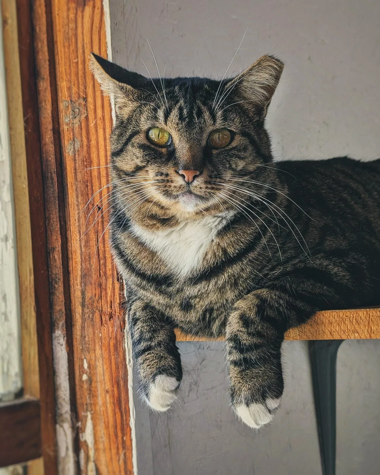 Hotel Bravo - Rosalita1.jpg