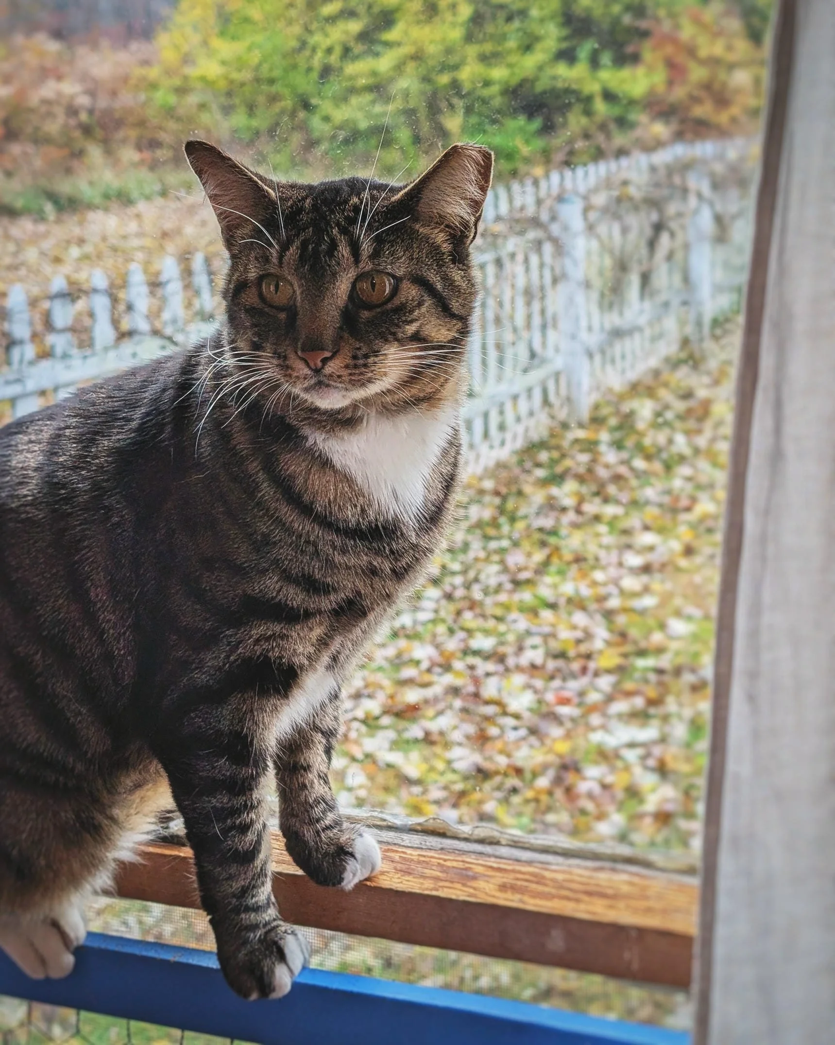 Hotel Bravo - Rosalita3.jpg