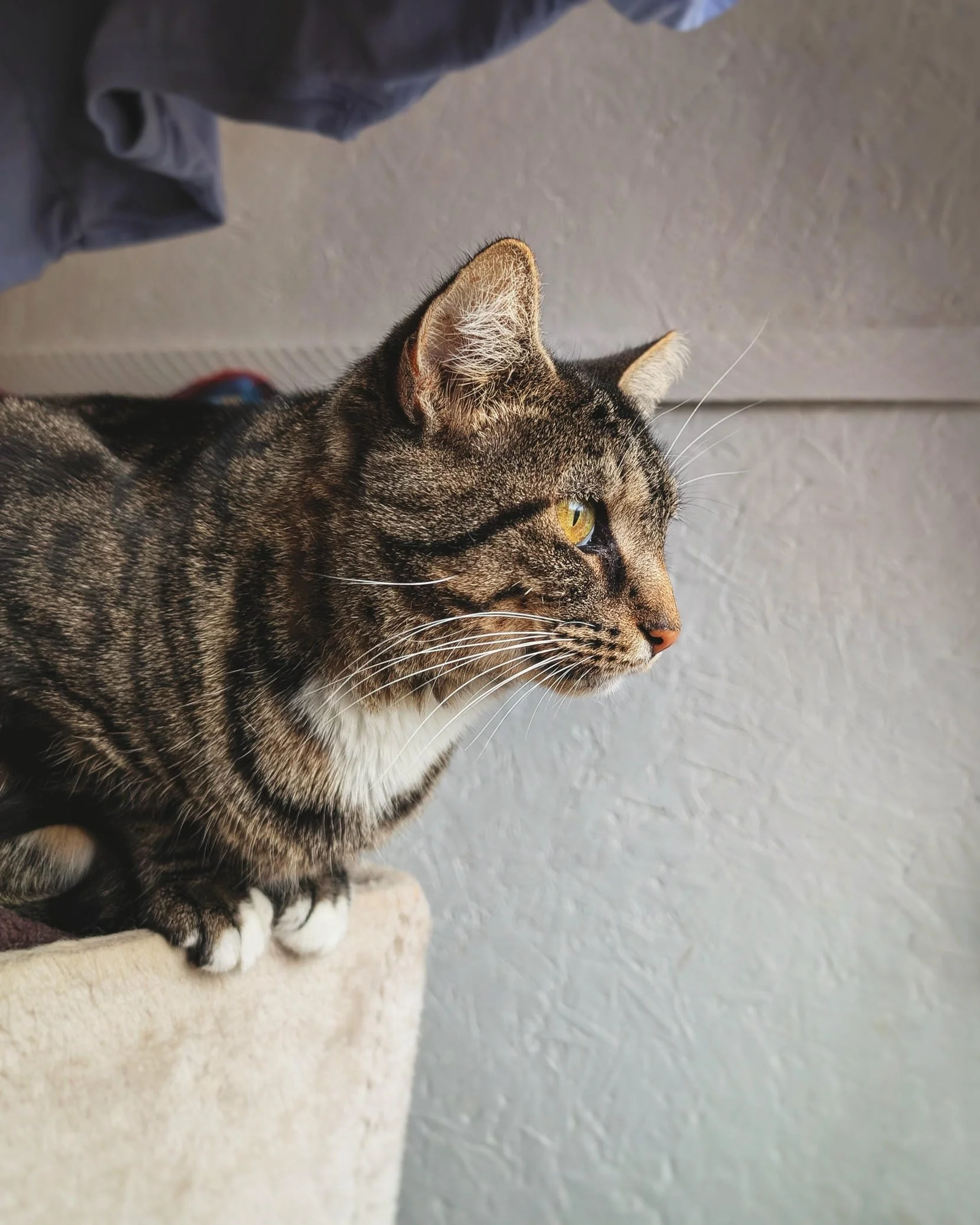 Hotel Bravo - Rosalita5.jpg