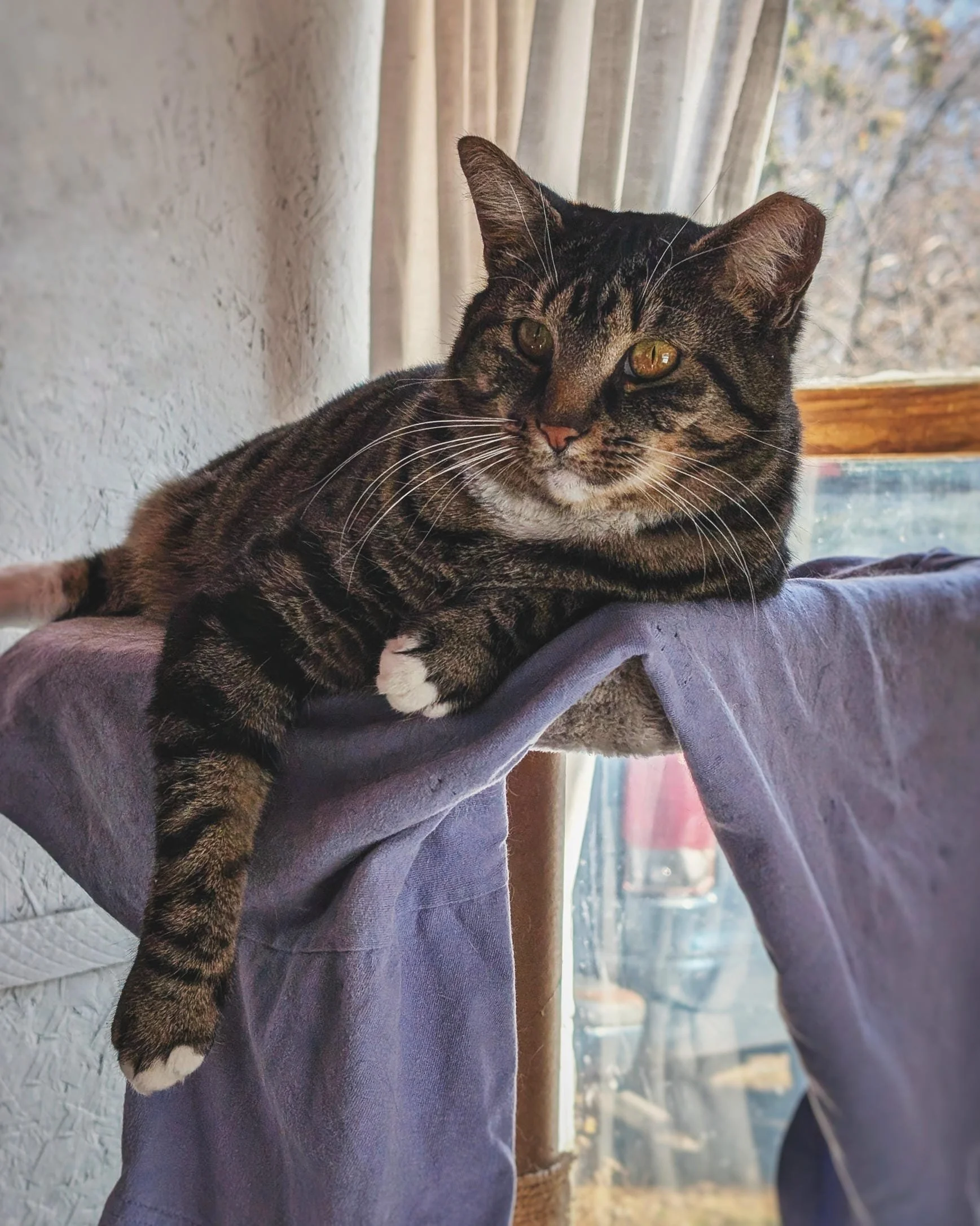 Hotel Bravo - Rosalita7.jpg